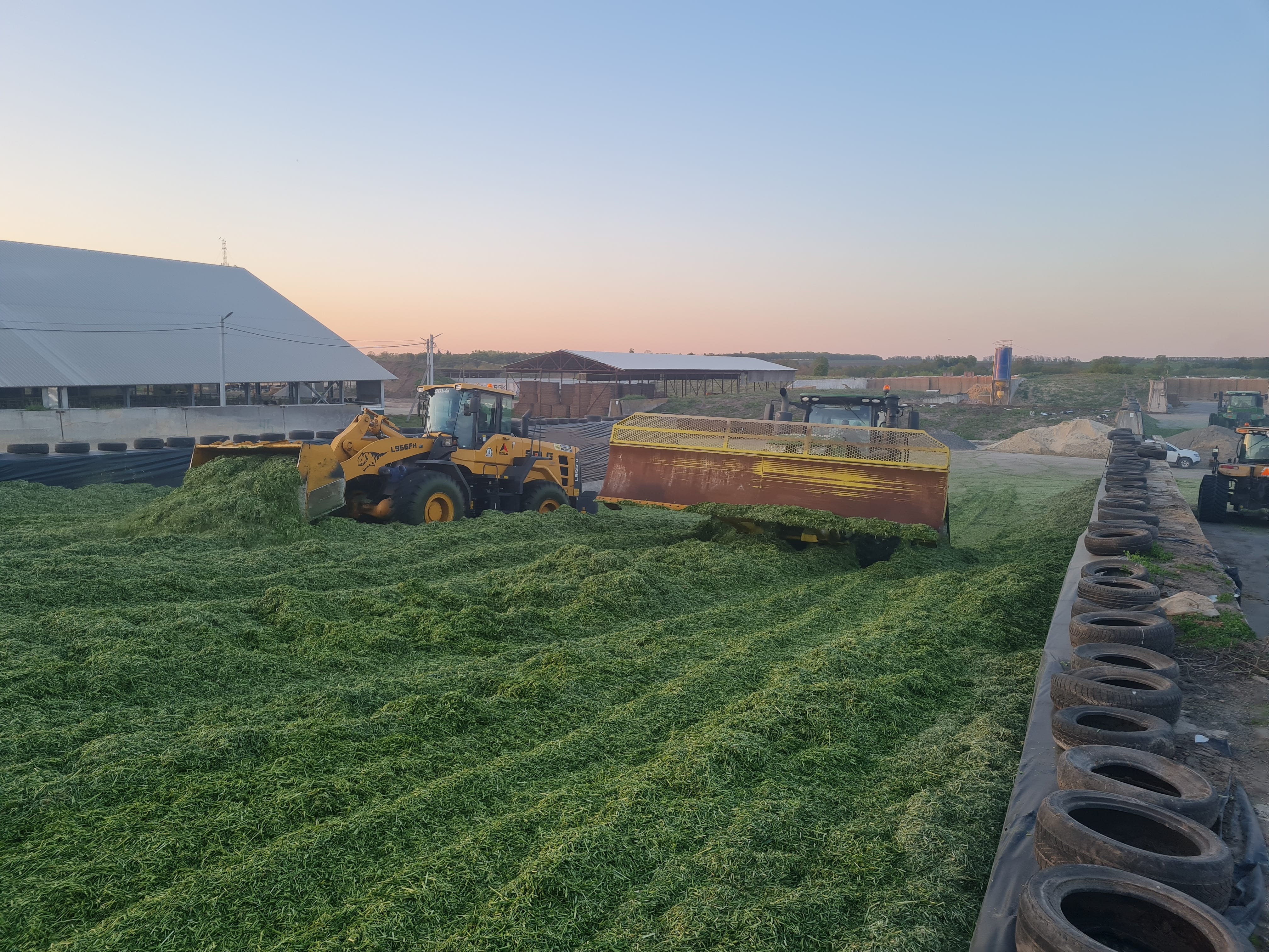 Harvest Kees Huizinga 