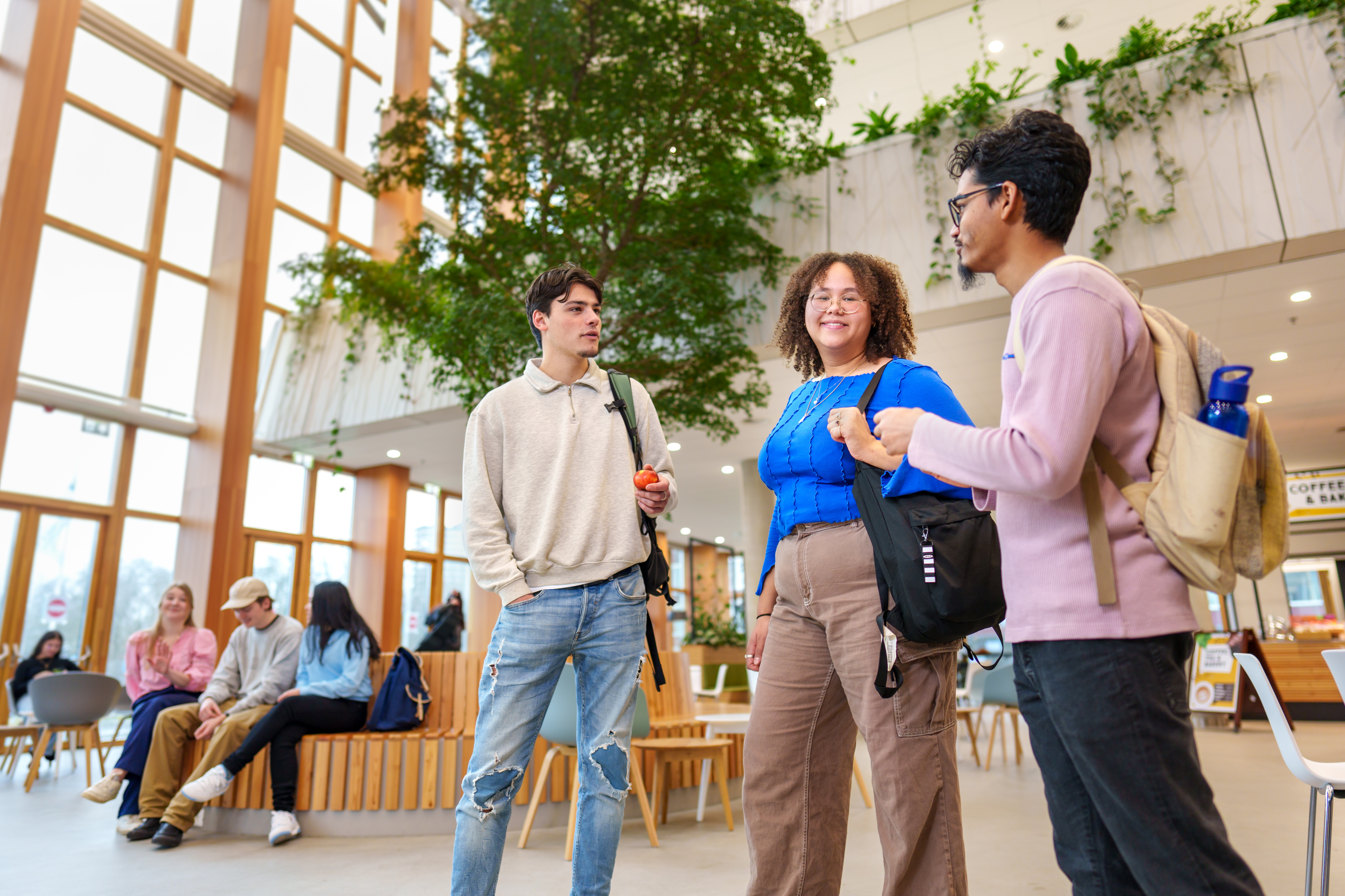 Berber:  Bachelor Internationale Ontwikkelingsstudies