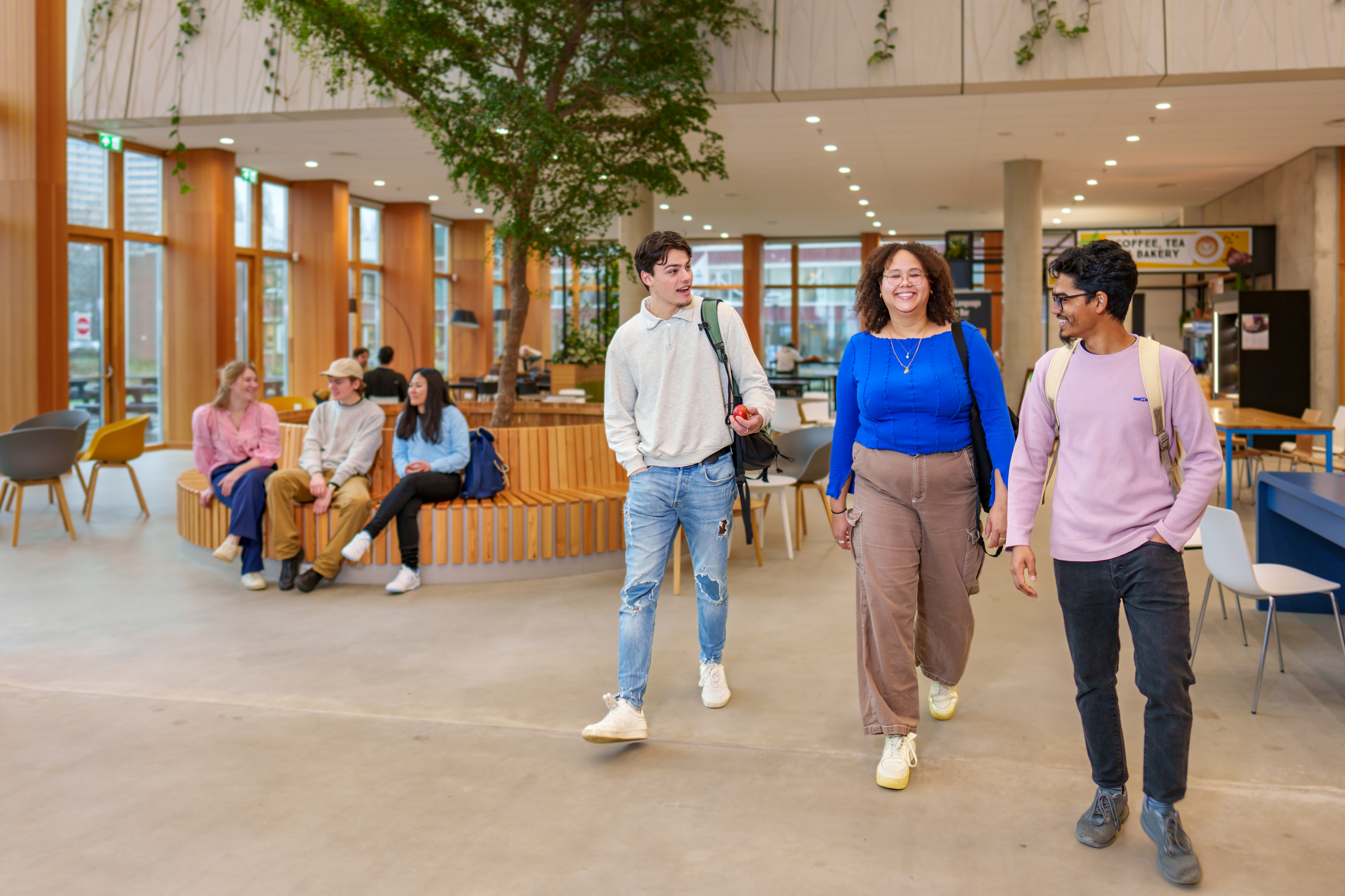 Berber:  Bachelor Internationale Ontwikkelingsstudies
