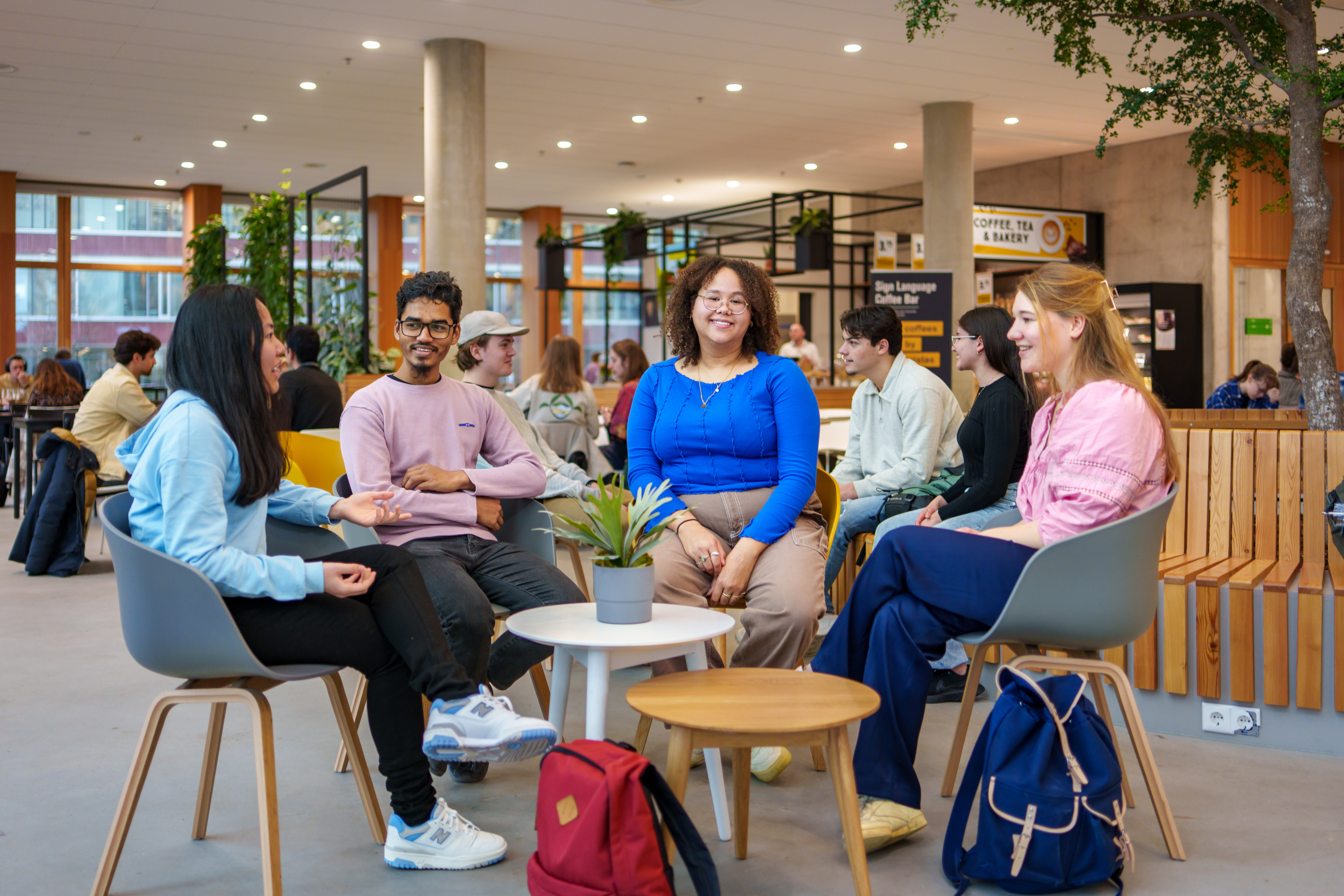 Berber:  Bachelor Internationale Ontwikkelingsstudies