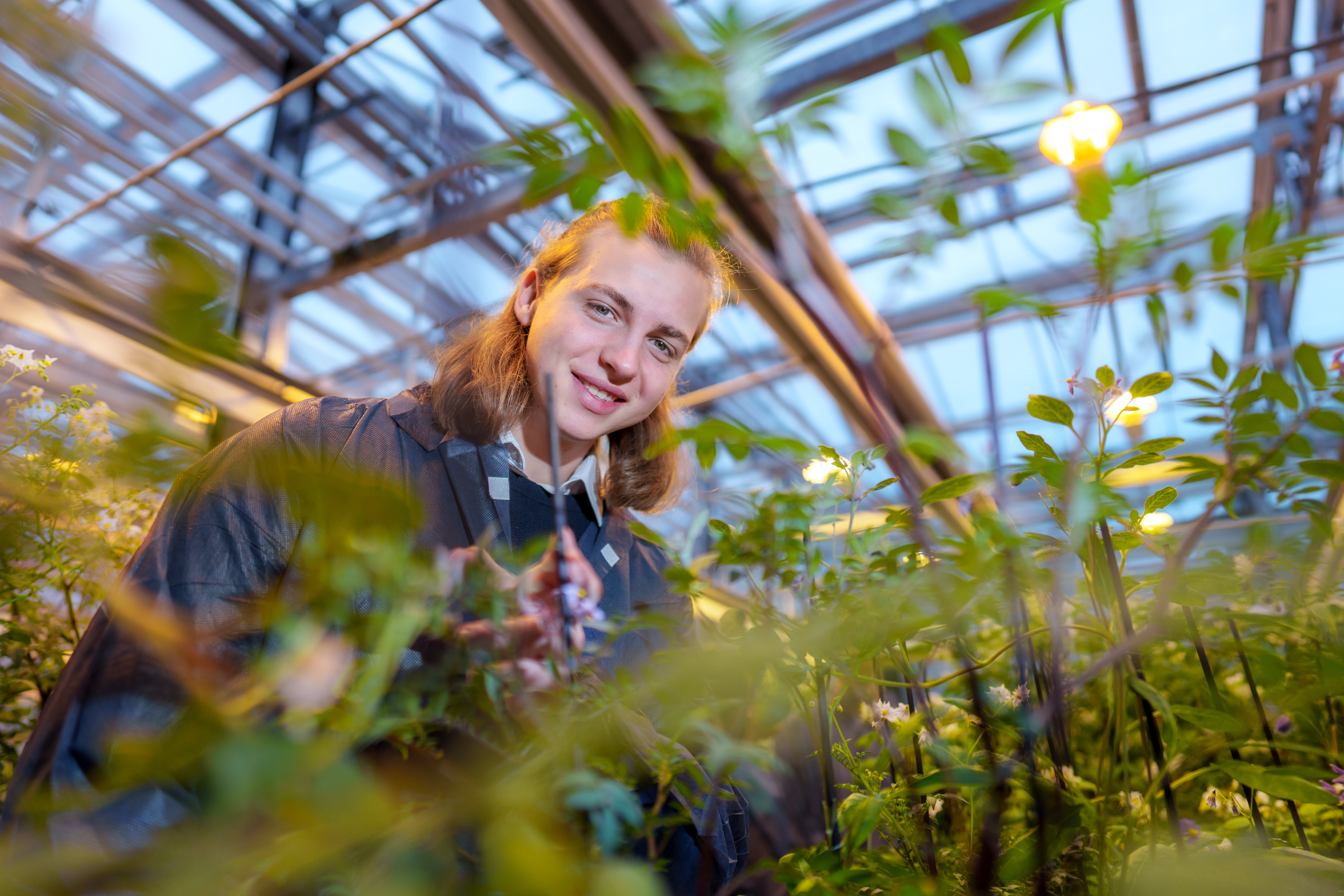 Foto van Ben in de kassen van de WUR