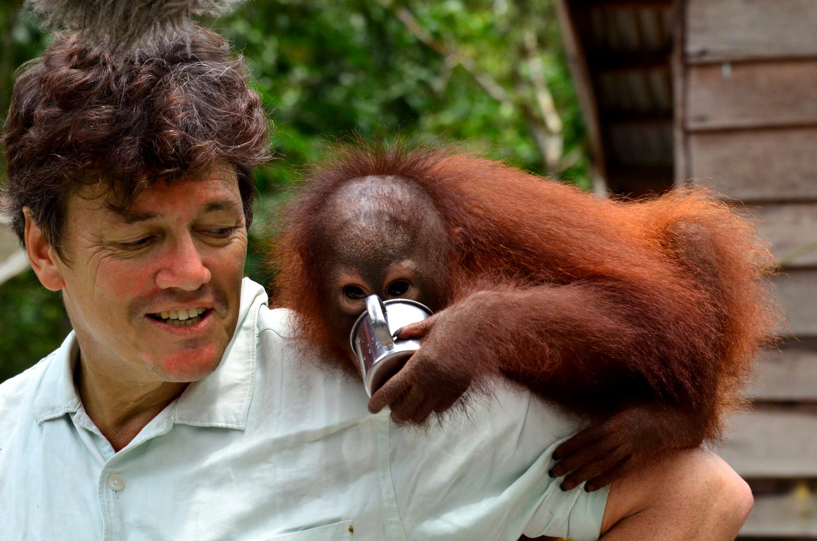 Willie Smits with an orangutan on his shoulder