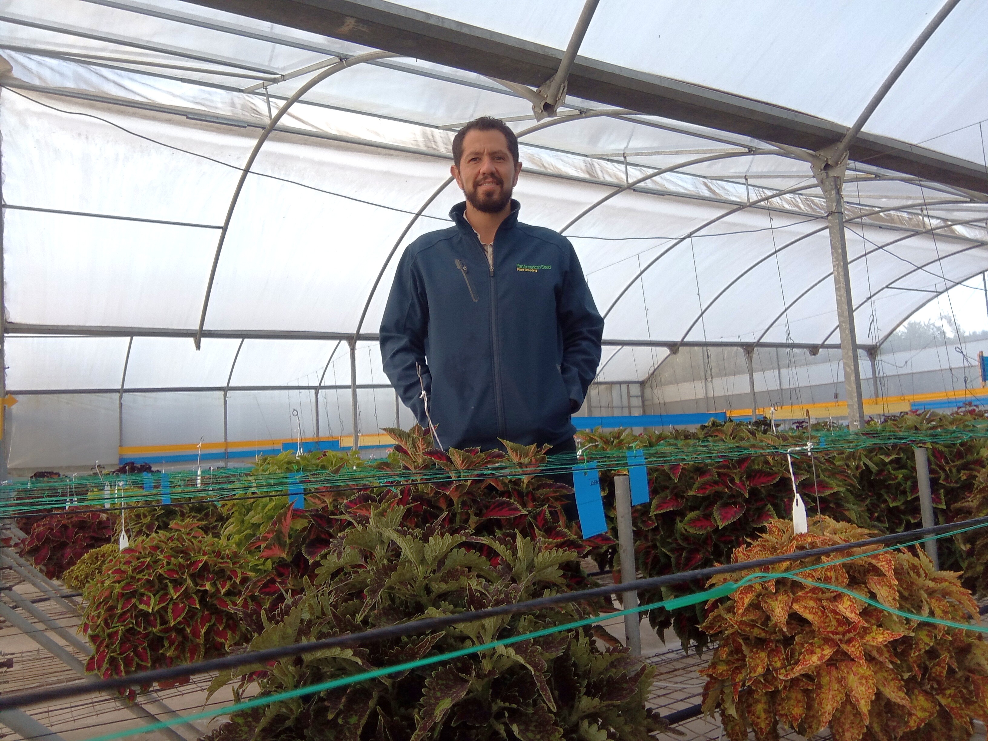 man in greenhouse