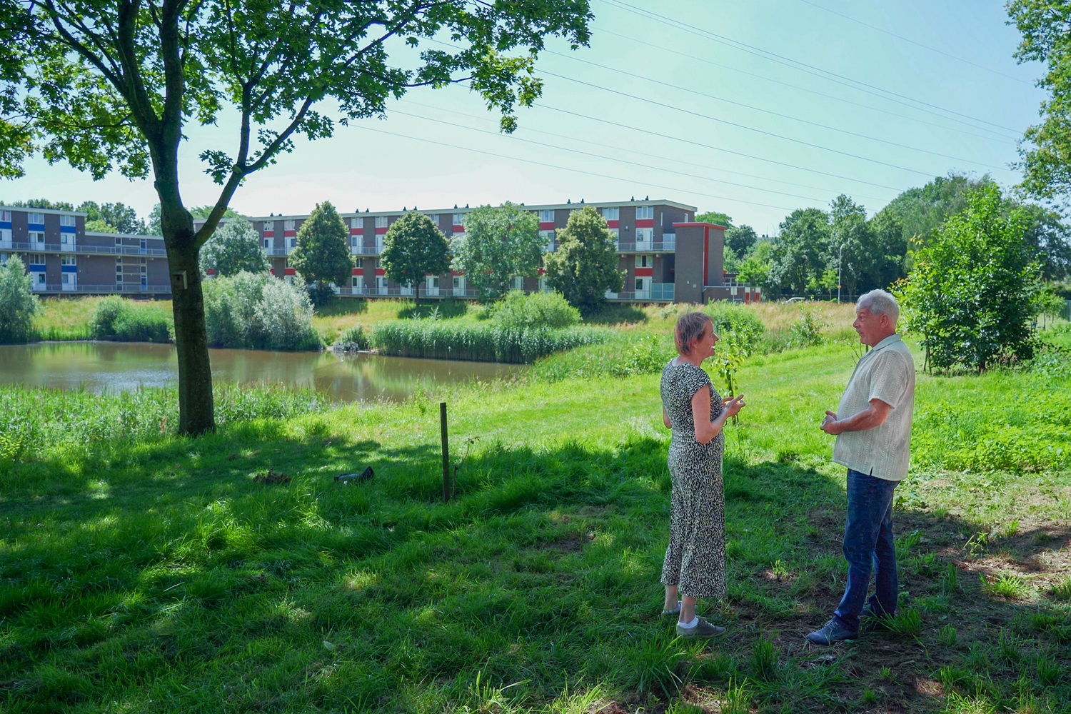 Mensen staan voor groen in den haag