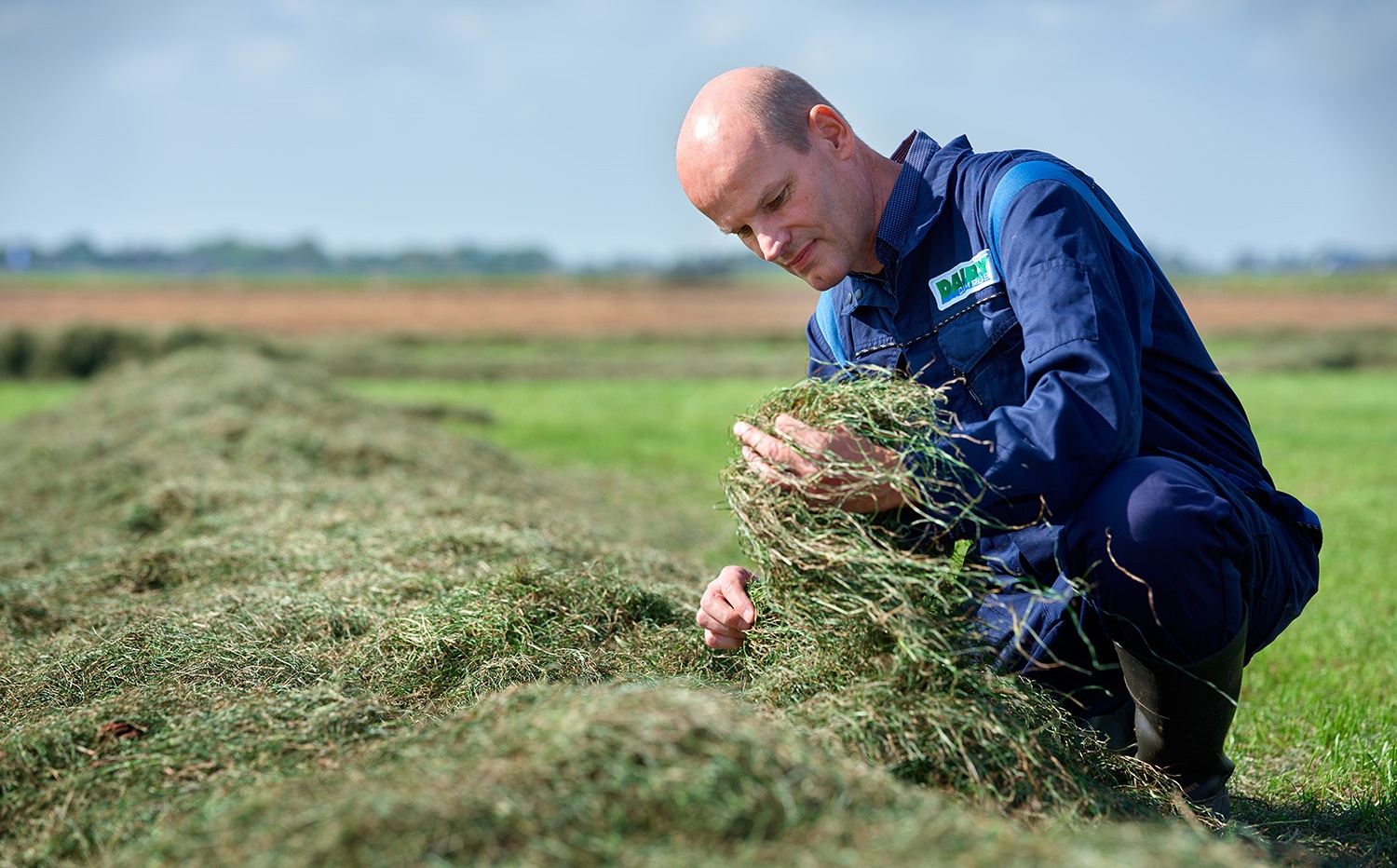 Onderzoeker Andre Bannink bekijkt gras 
