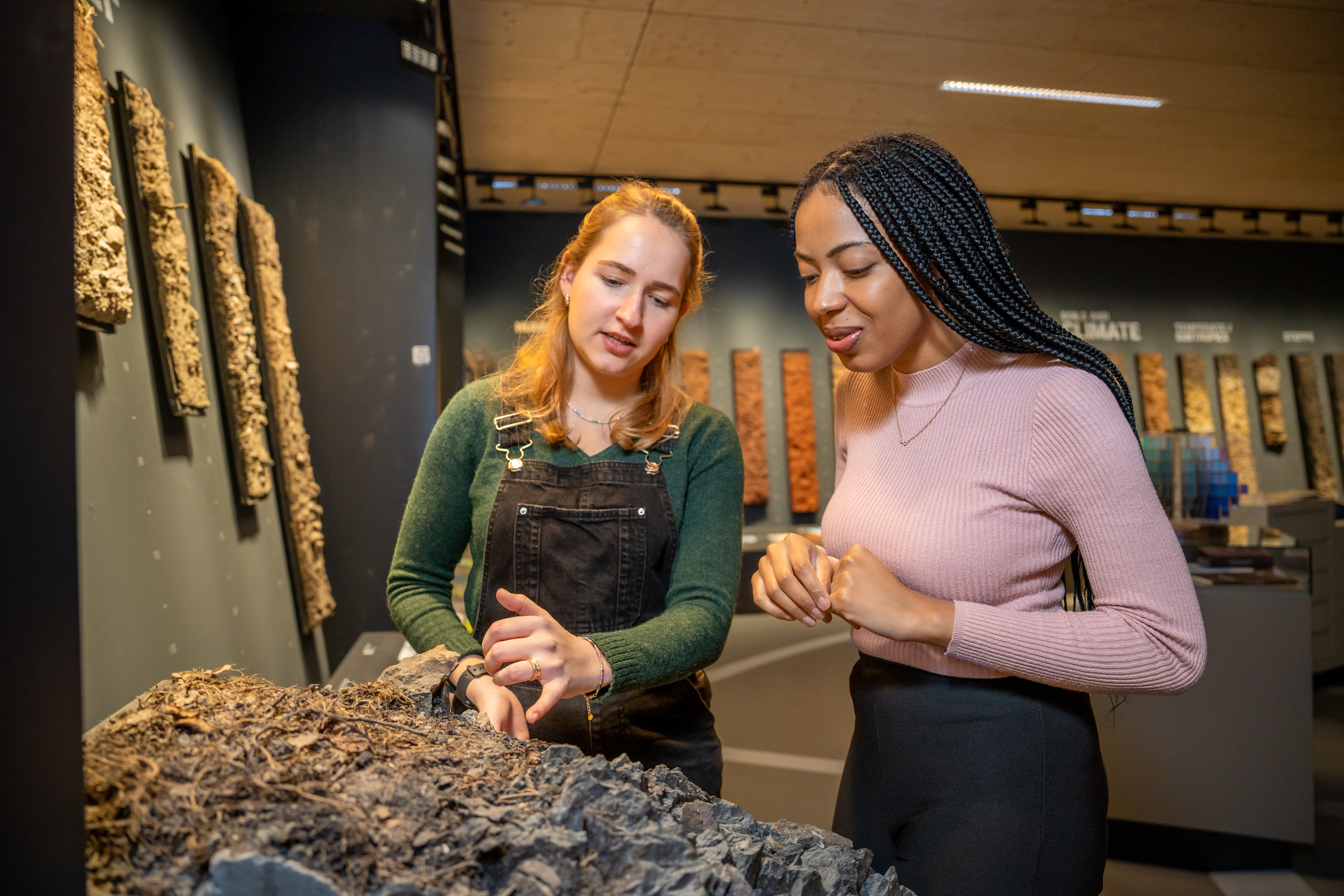 Students in the soil museum