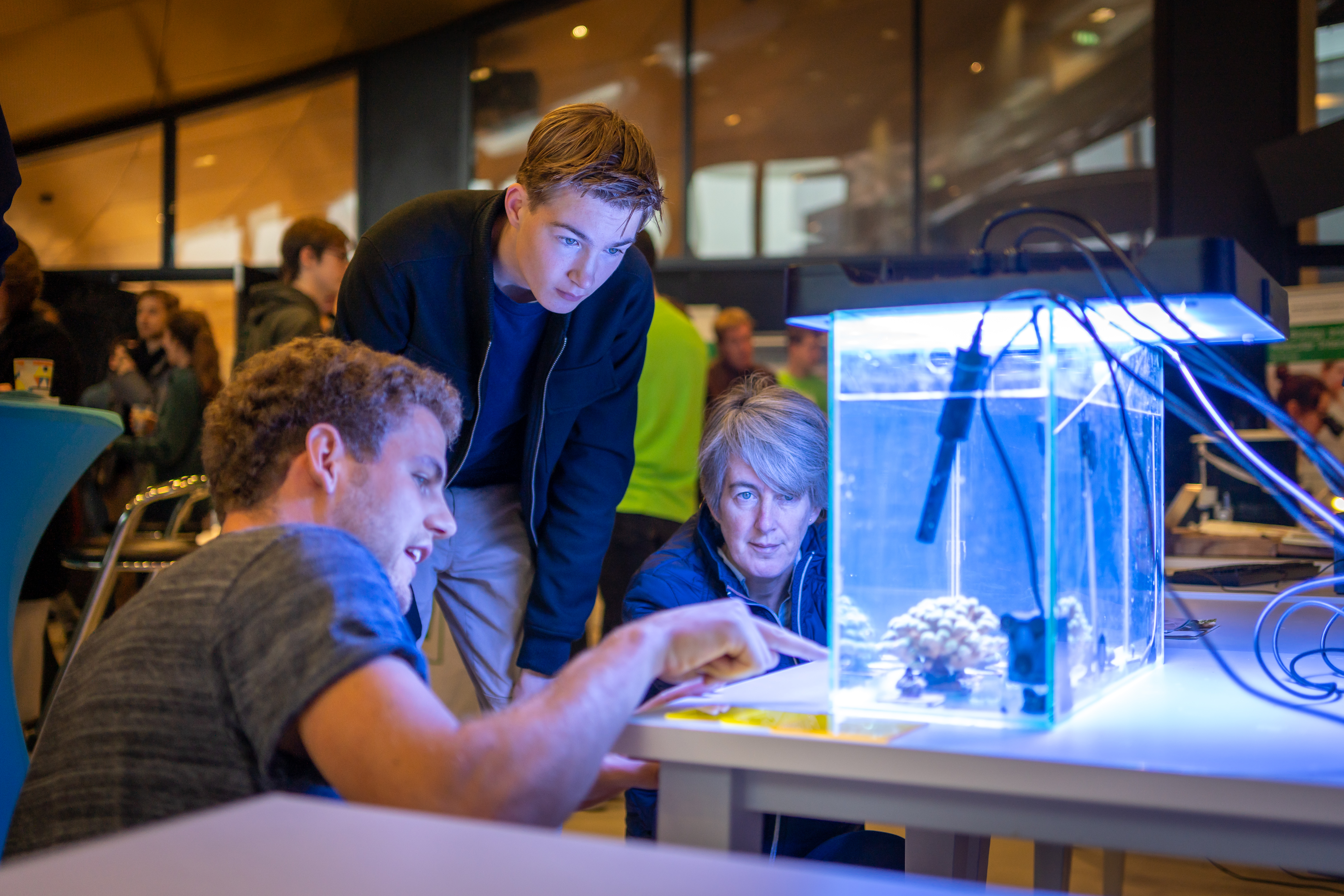 mensen kijken fascinerend naar aquarium