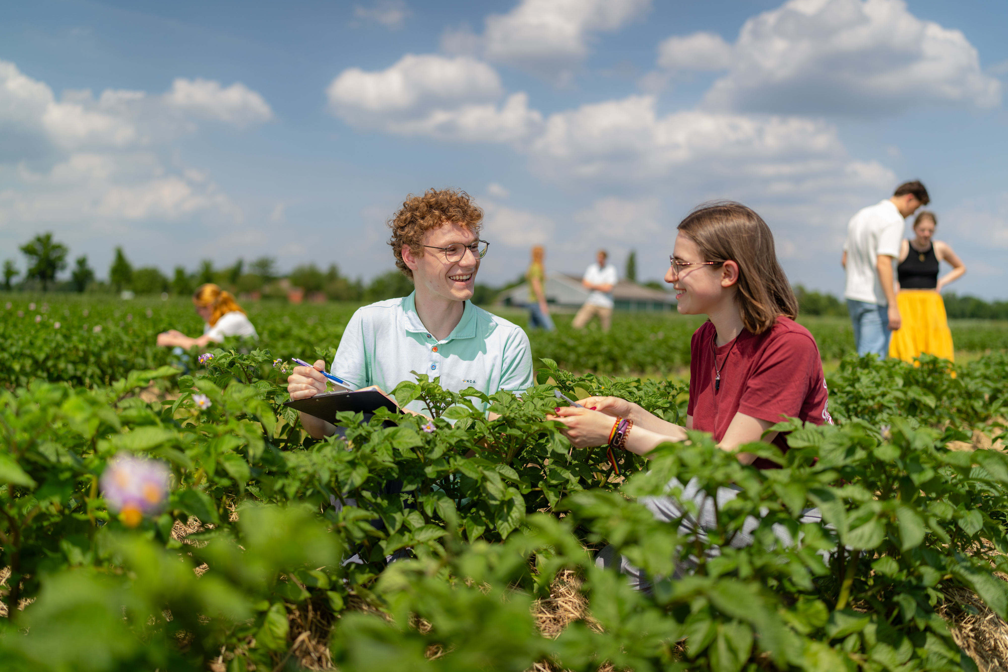 Mensen zitten in een veld van planten