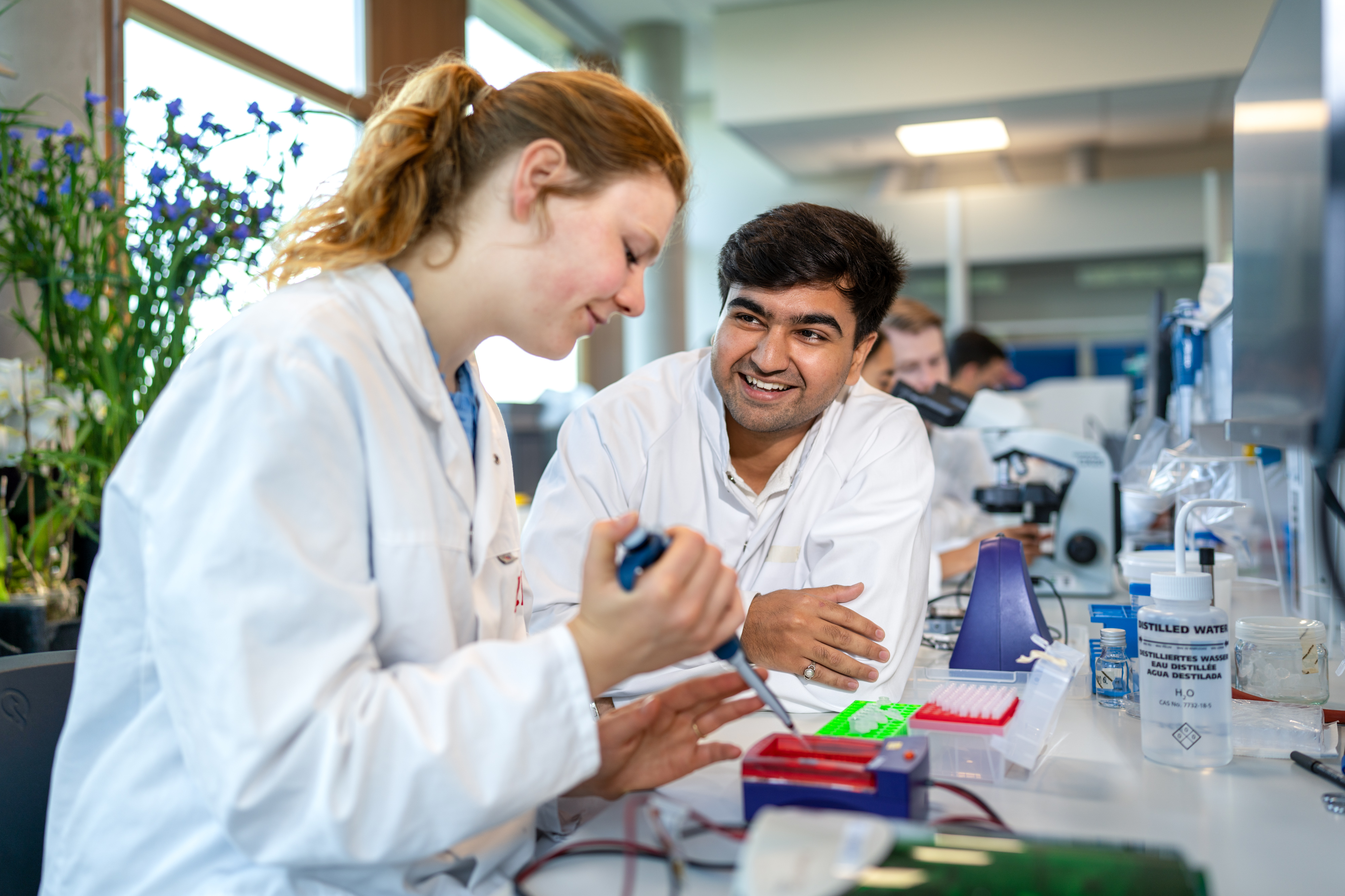Mensen pipiteren in een lab