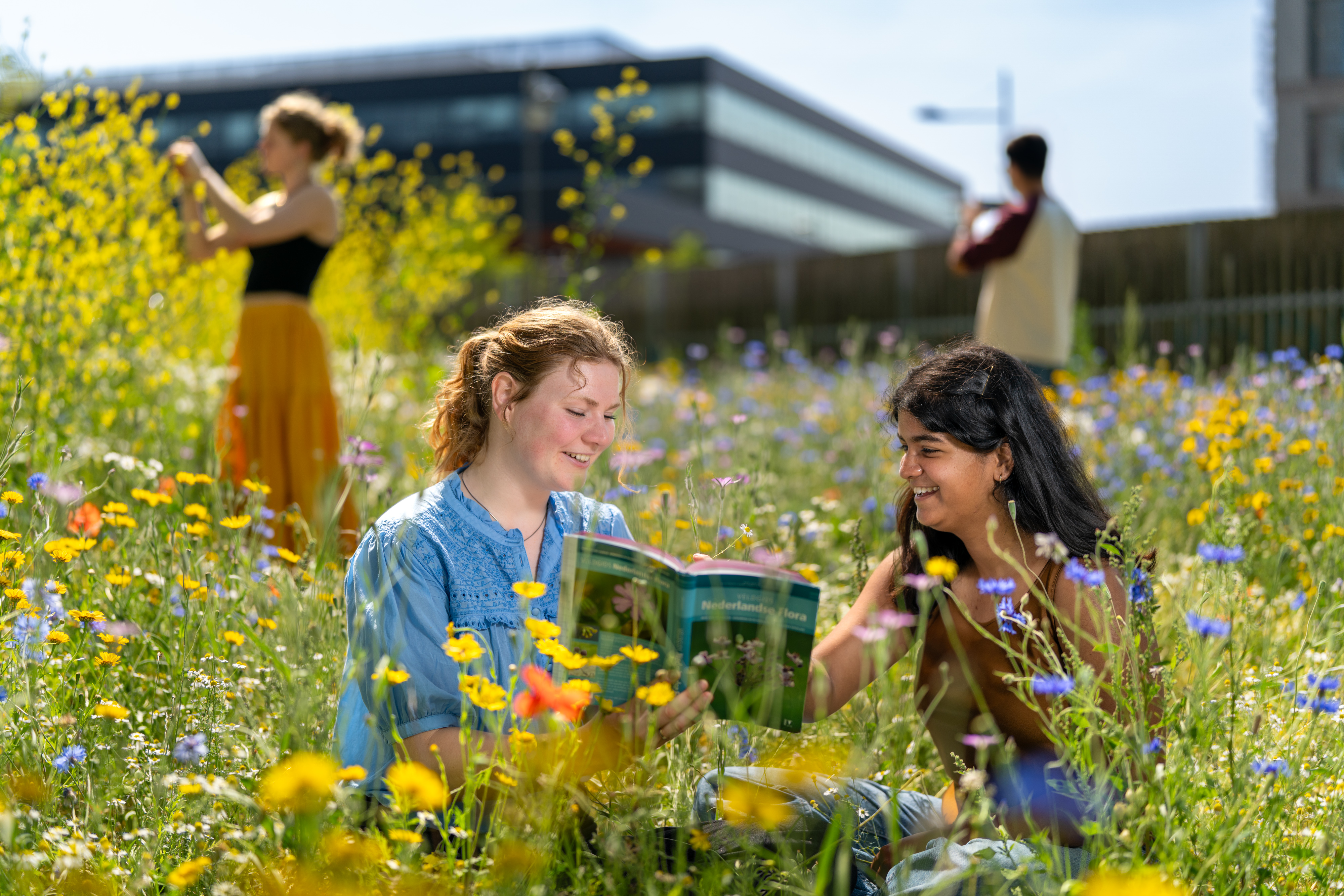 Mensen zitten in een veld van bloemen