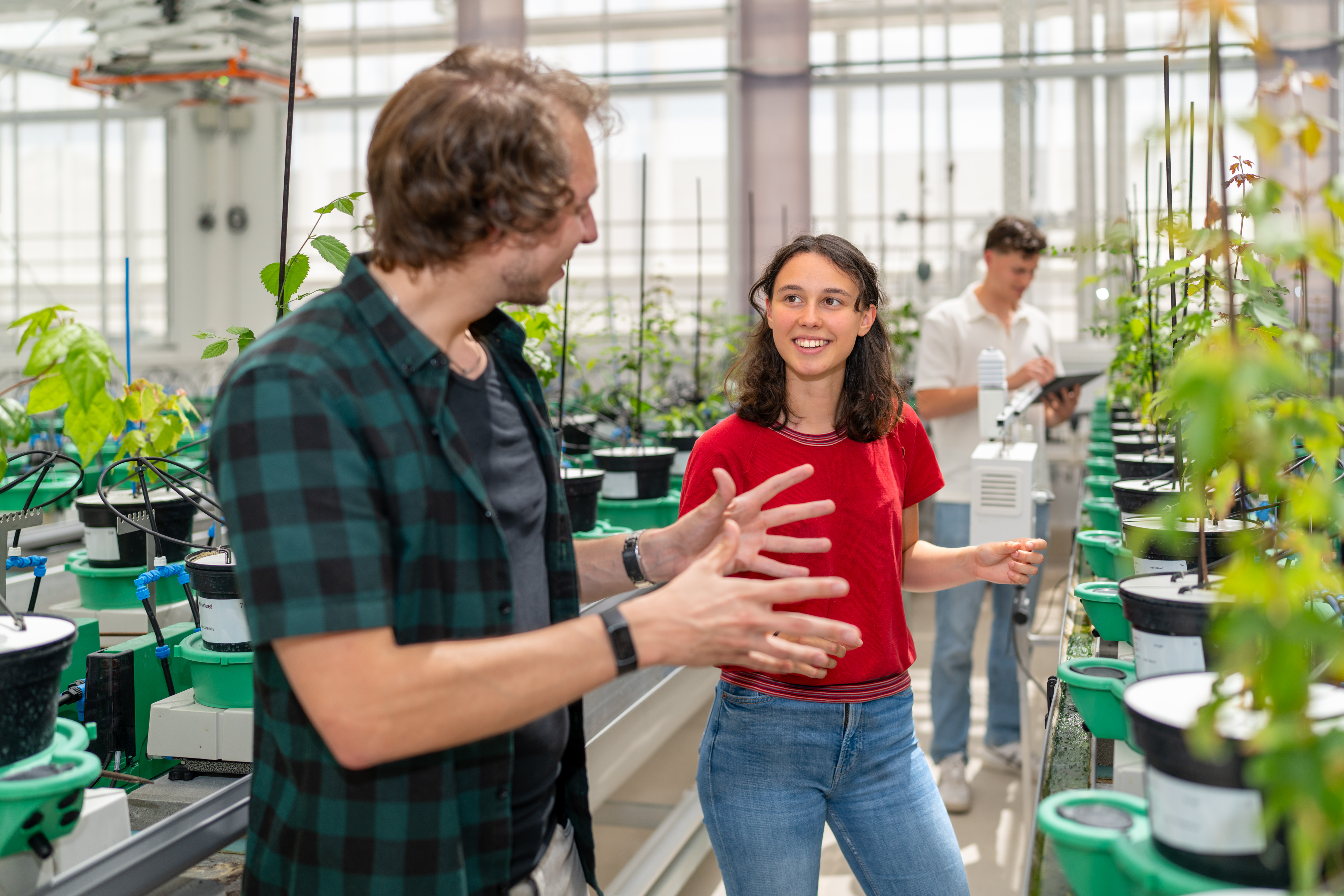 in een kas wordt uitleg gegeven over planten