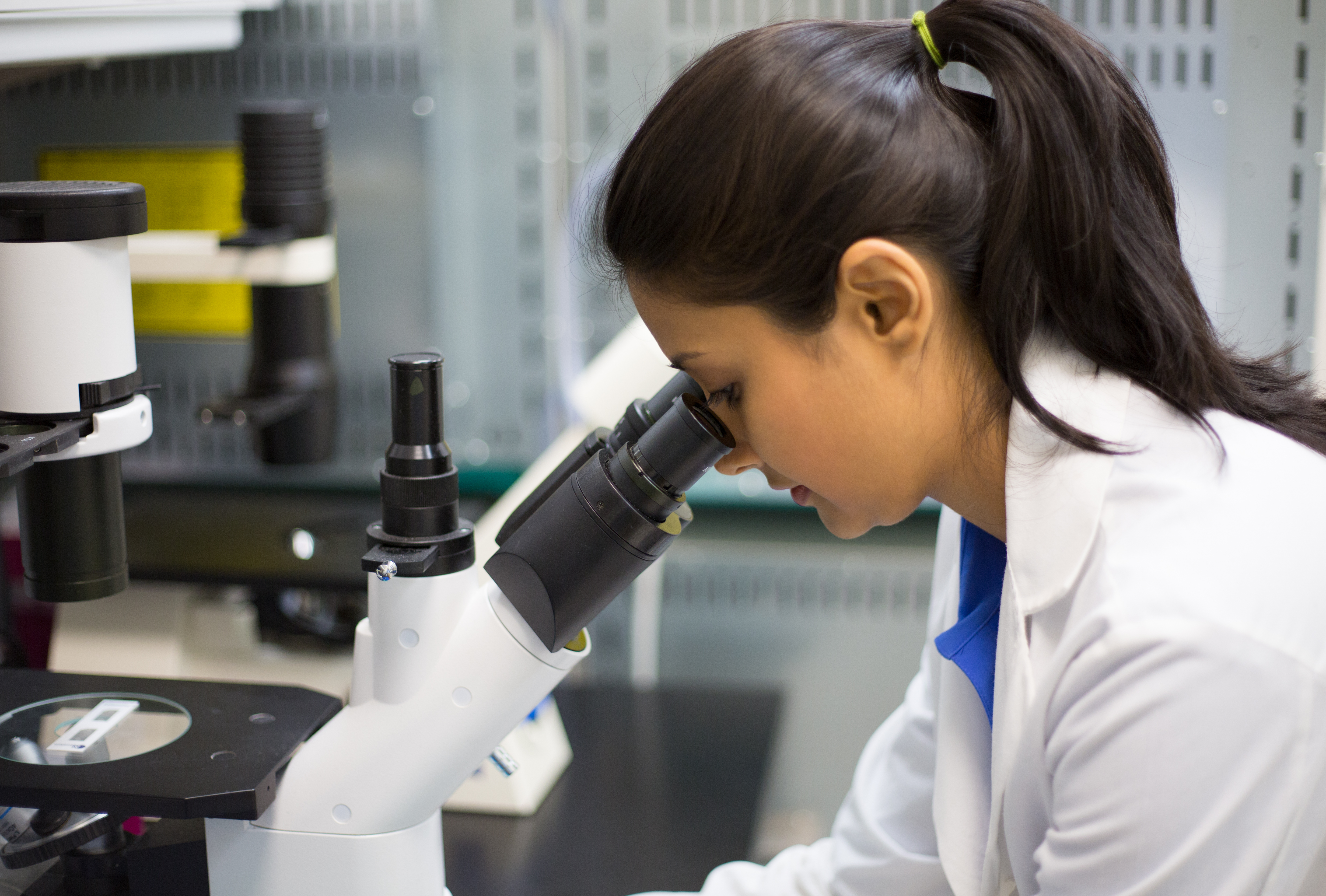 Student Biotechnology looking in microscope