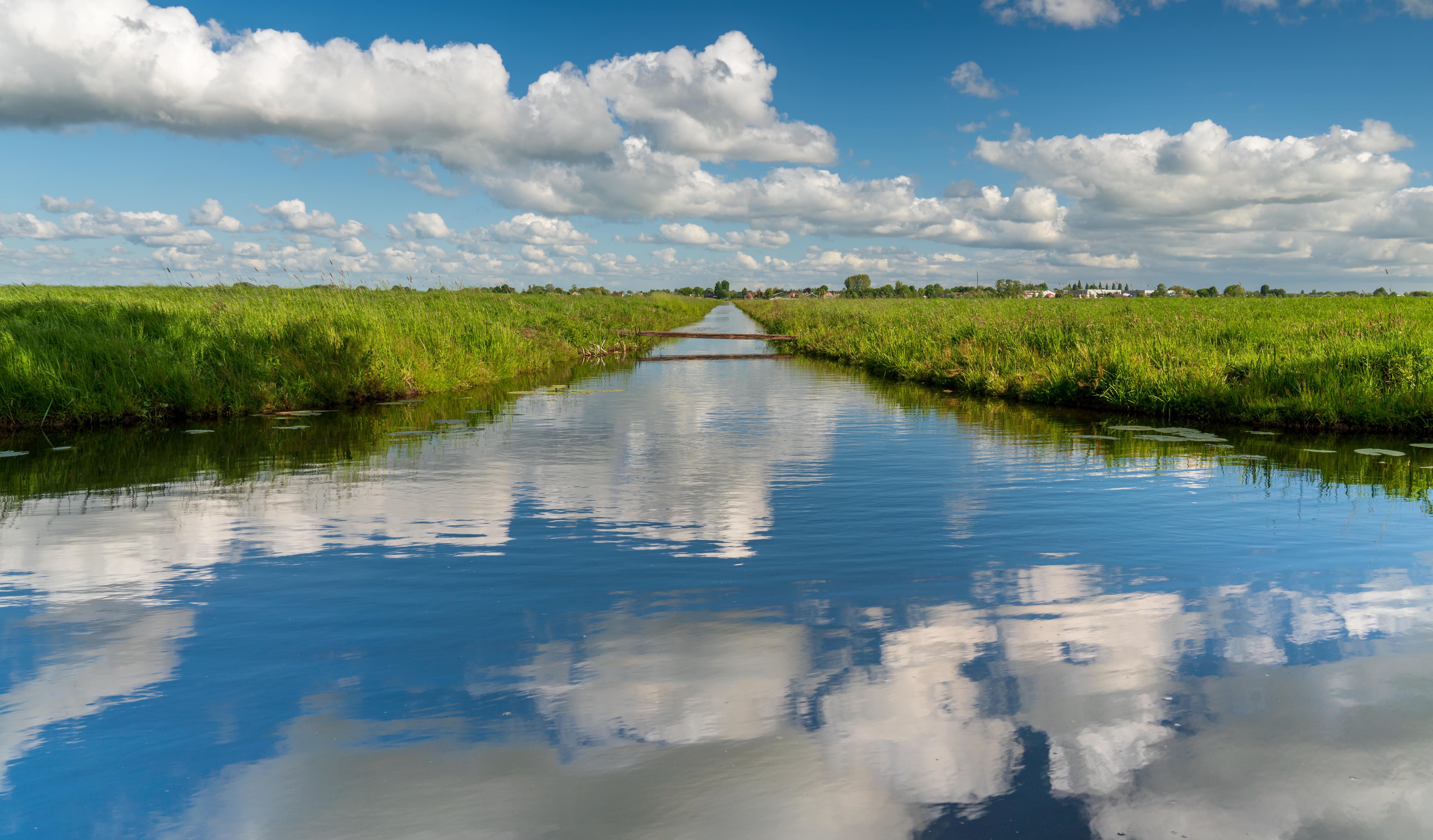 Brug over het water in een weiland