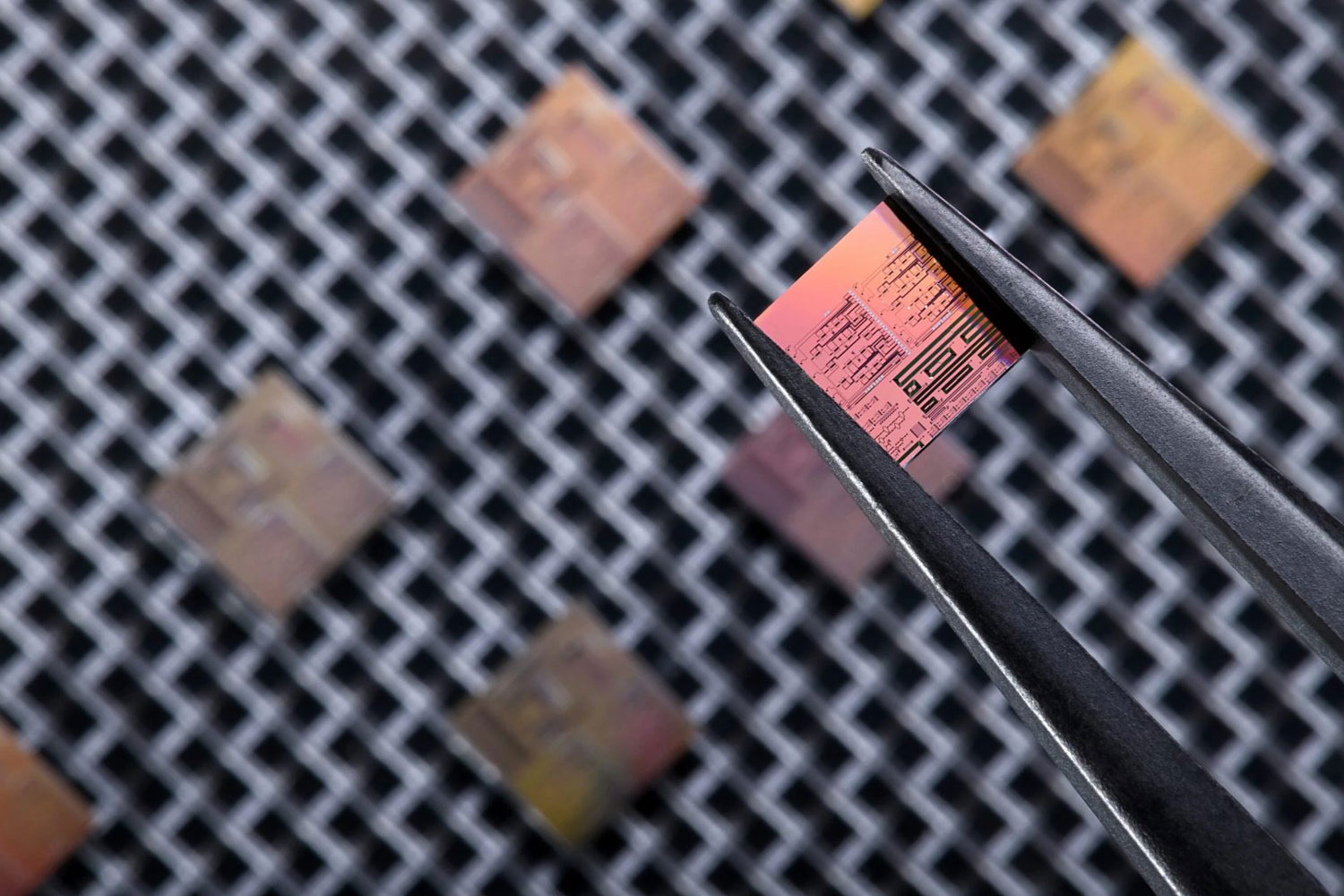 Chip used for OnePlanet