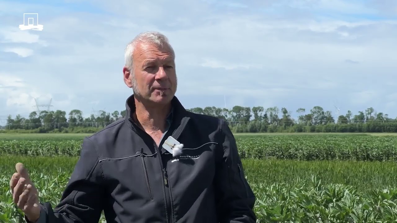Climate adaptation at Farm of the Future: how do farmers in Lelystad adapt to the changing climate?