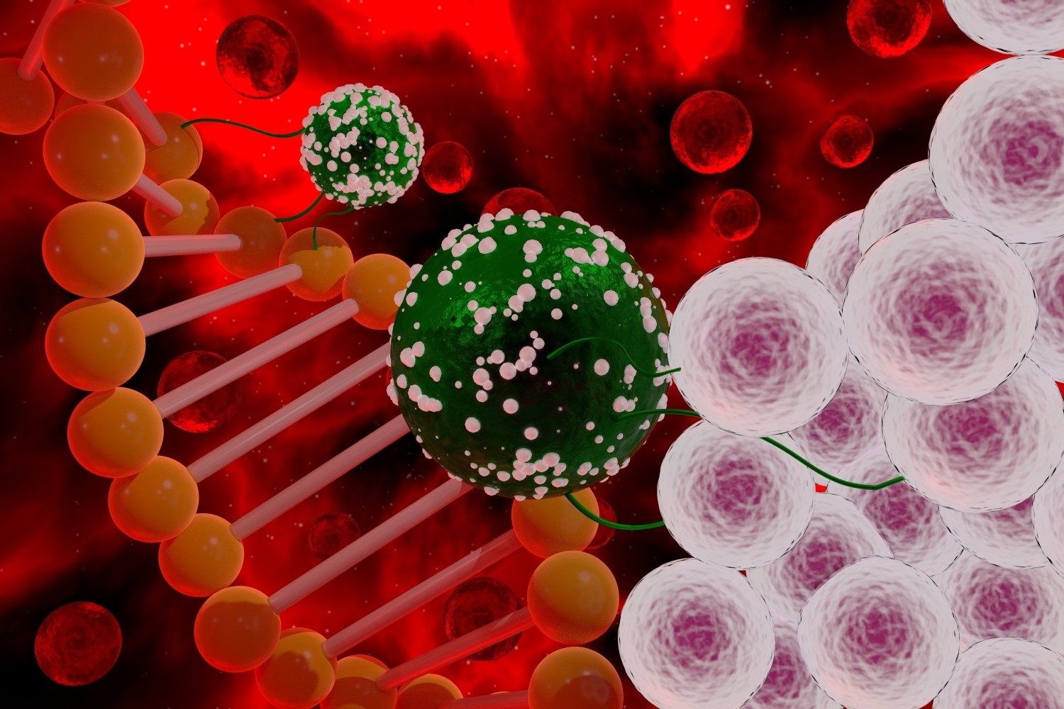 DNA en cellen