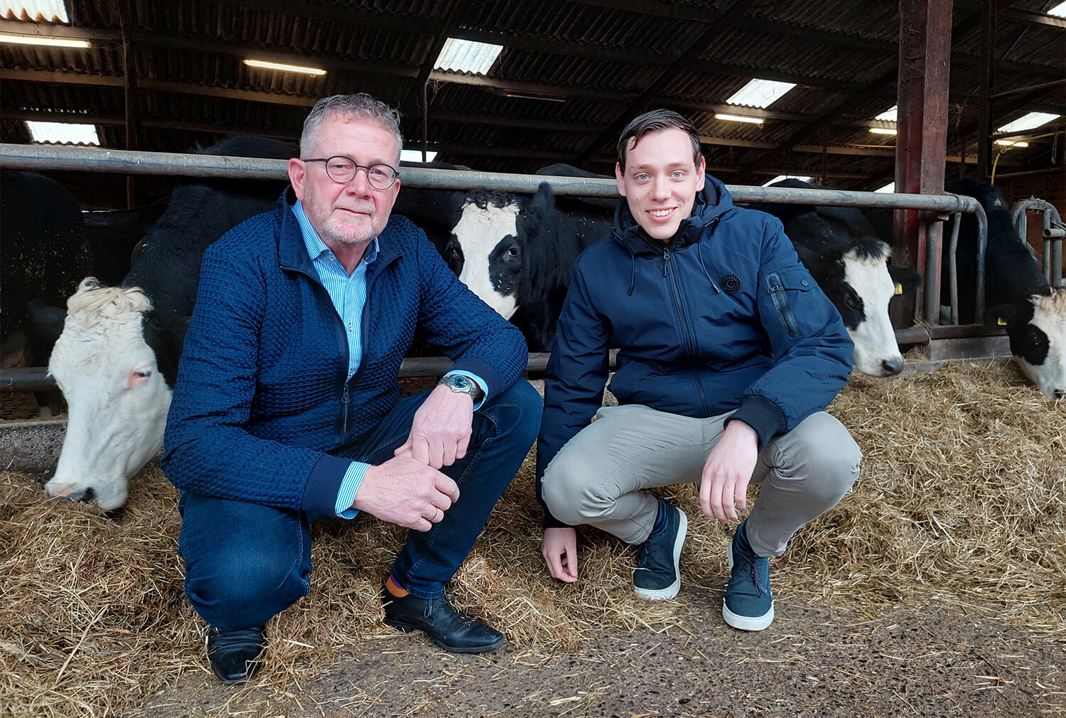 Zwier van der Vegte bij koeien