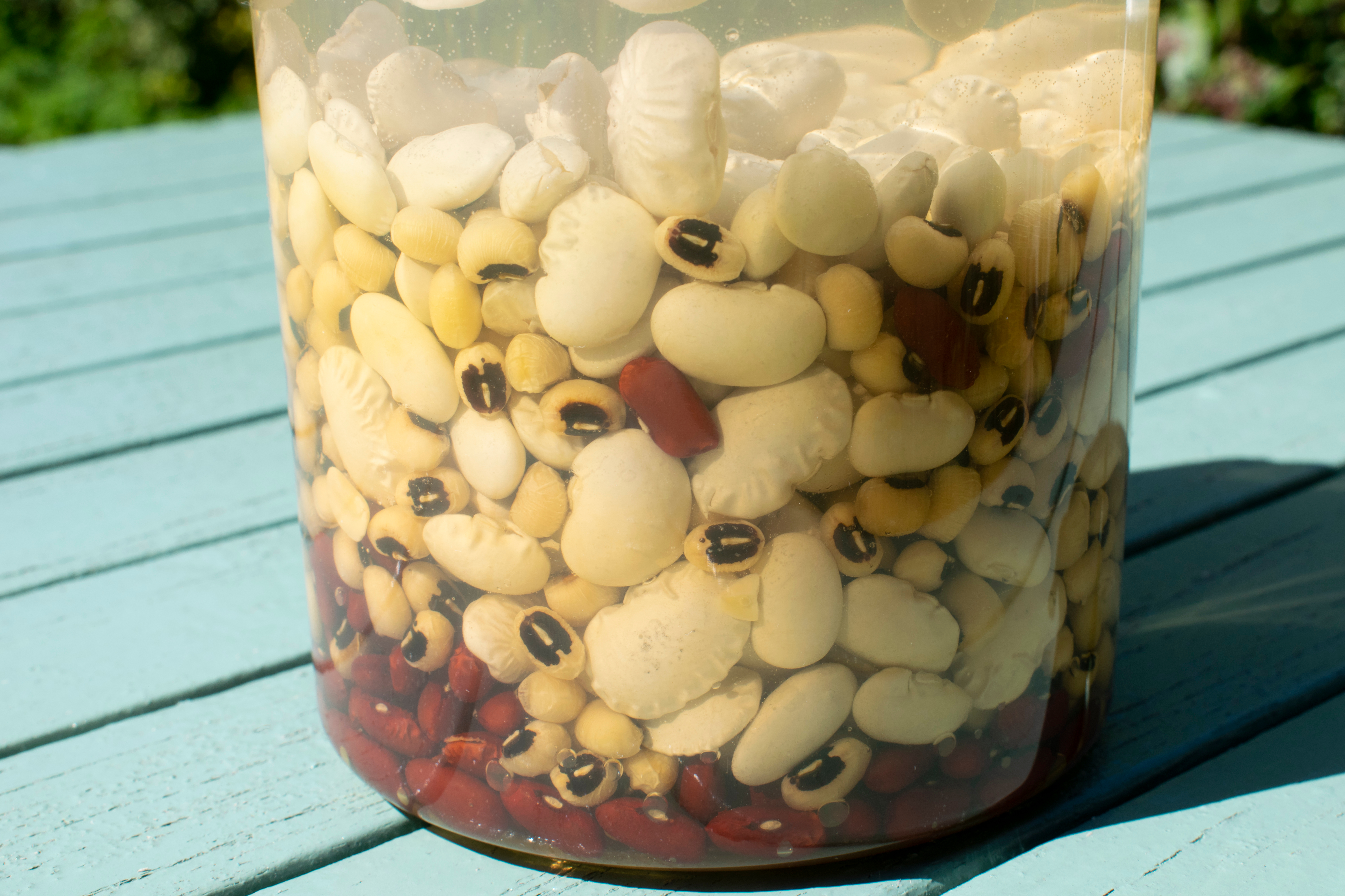 Filled pot