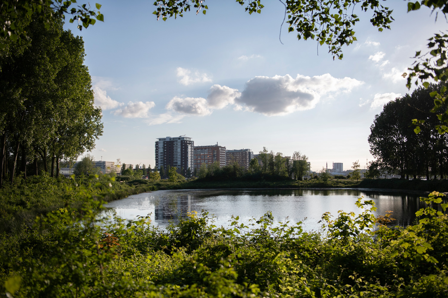 Eiland van Brienenoord