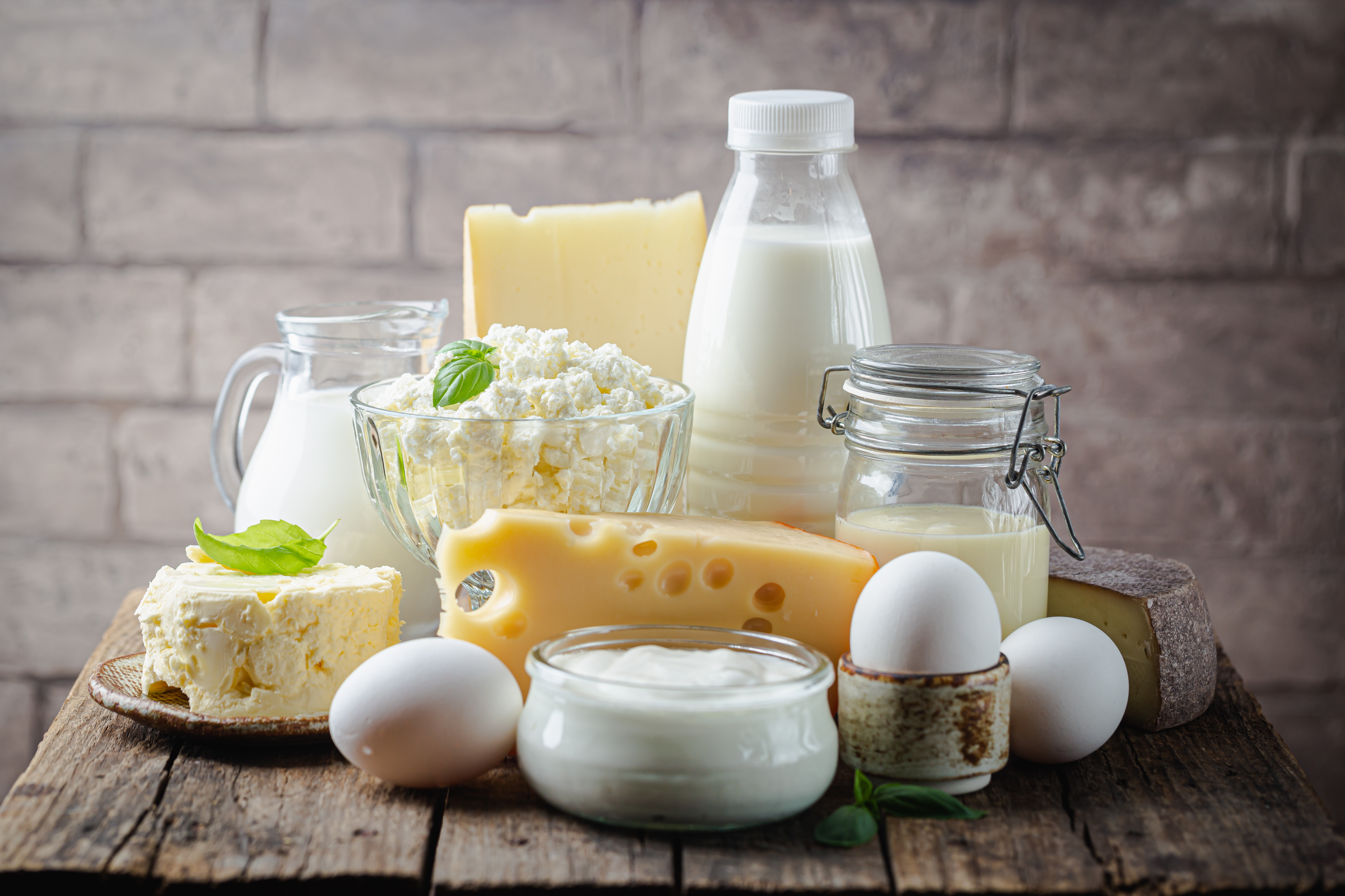 dairy products