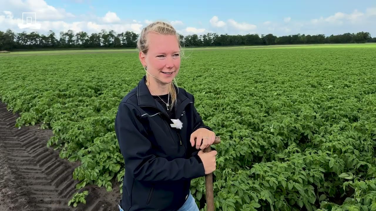 Climate adaptation at Farm of the Future: how do farmers in Vredepeel adapt to a changing climate?