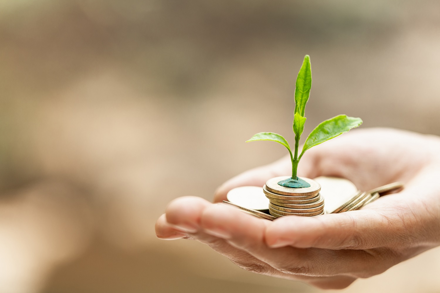 Plant growing on coins