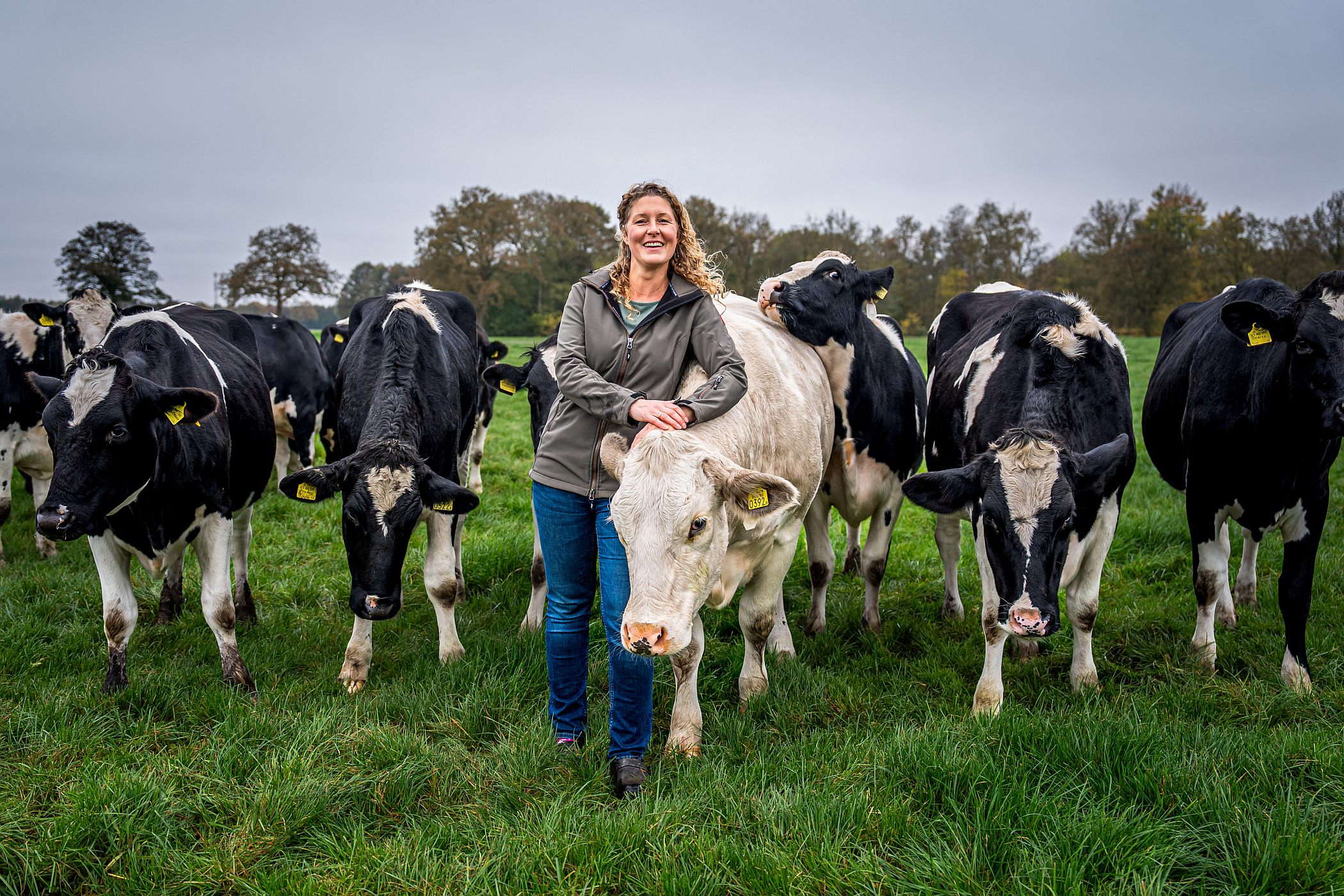 Giske Warringa between the cows in a field