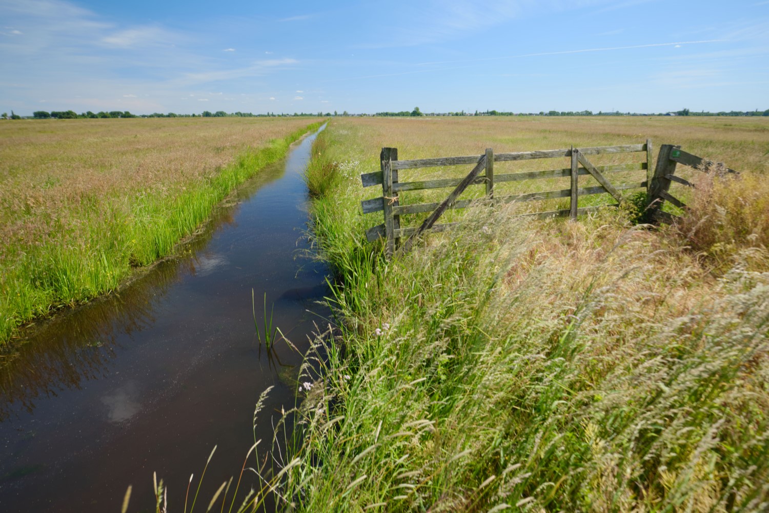 Kruidenrijk Grasland
