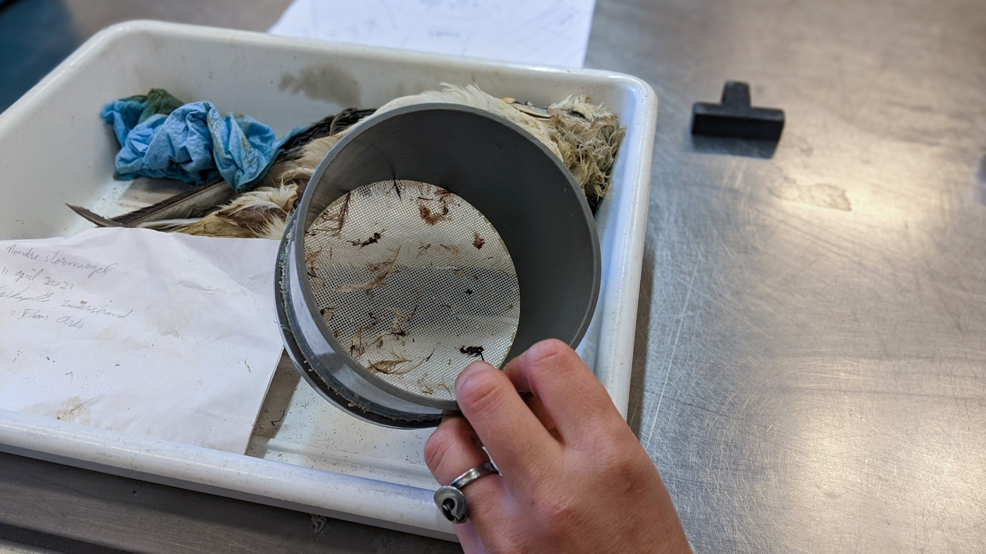Filter with plastic