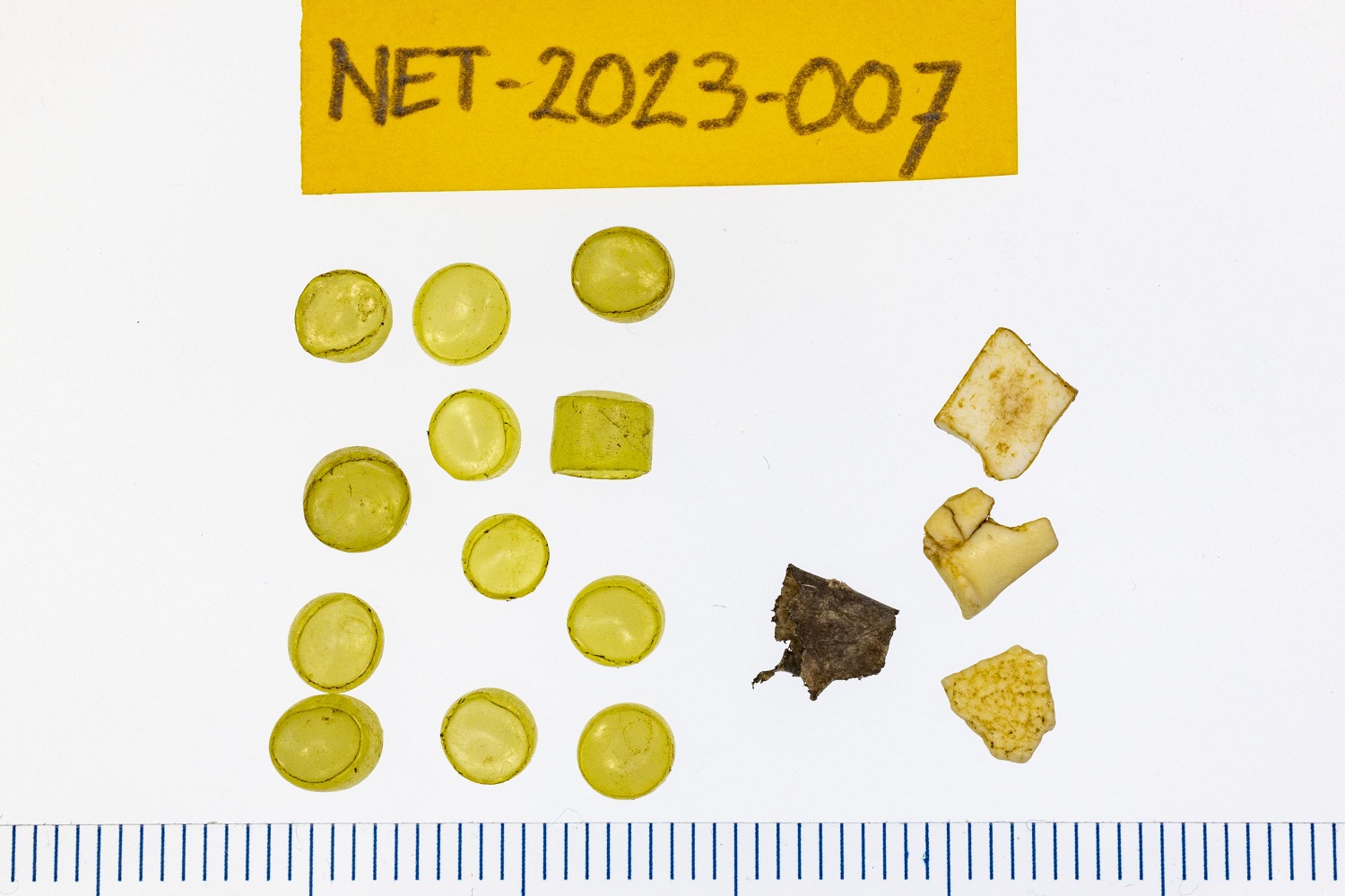 Plastic of stormbirdstomach