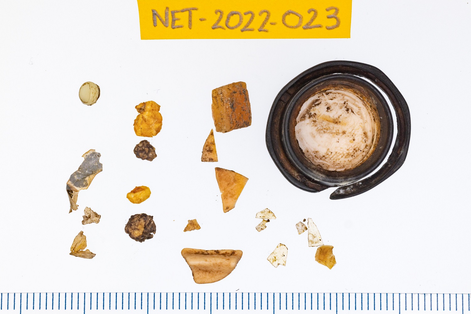 Plastic of stormbirdstomach
