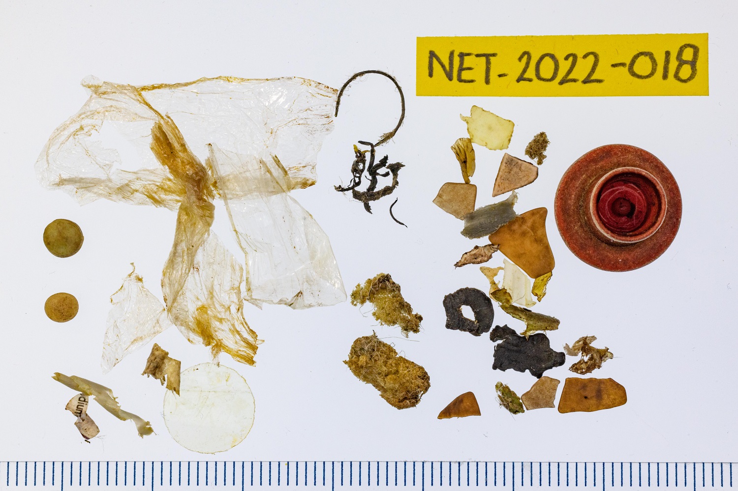 Plastic of stormbirdstomach