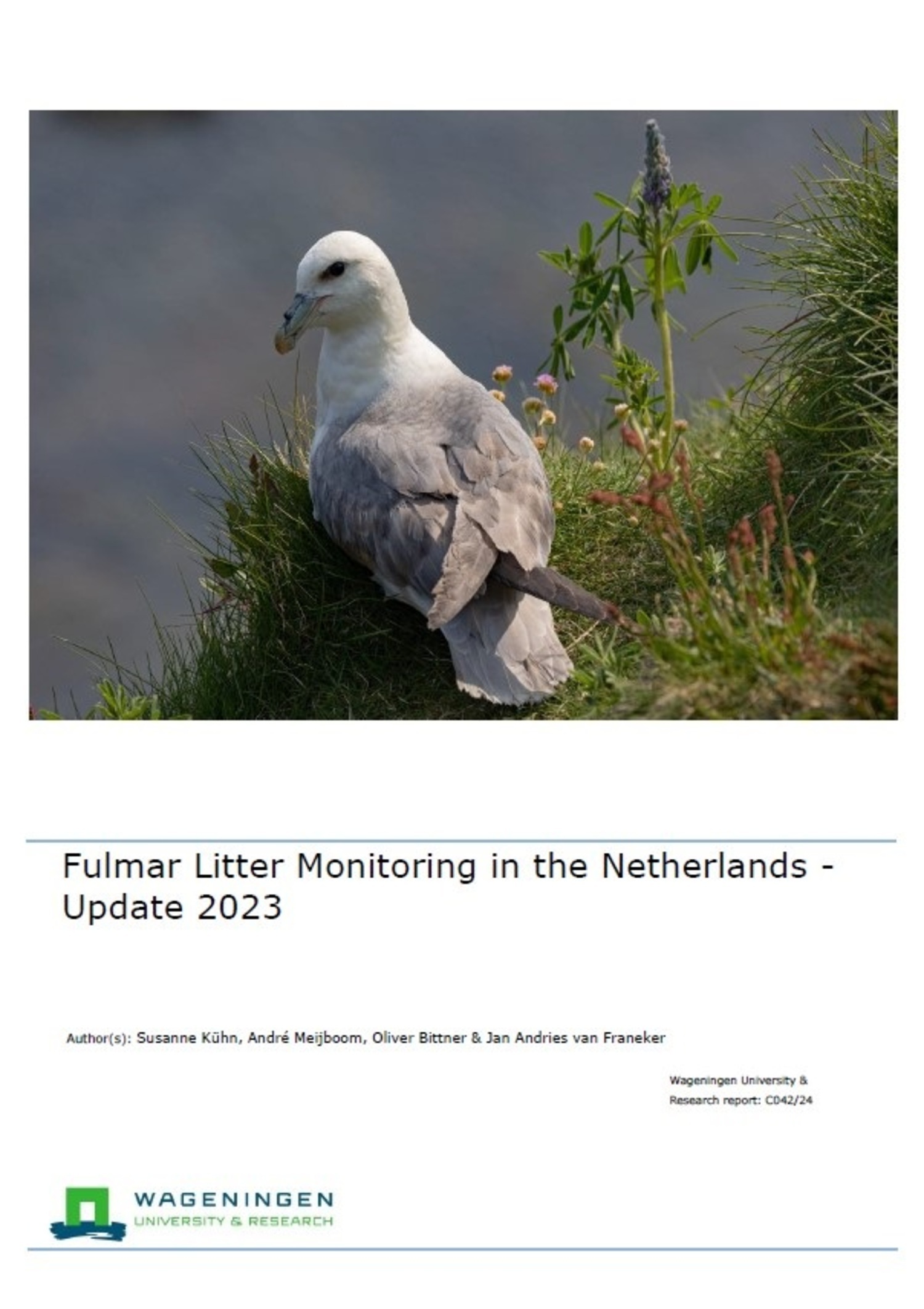 Rapport monitoring
