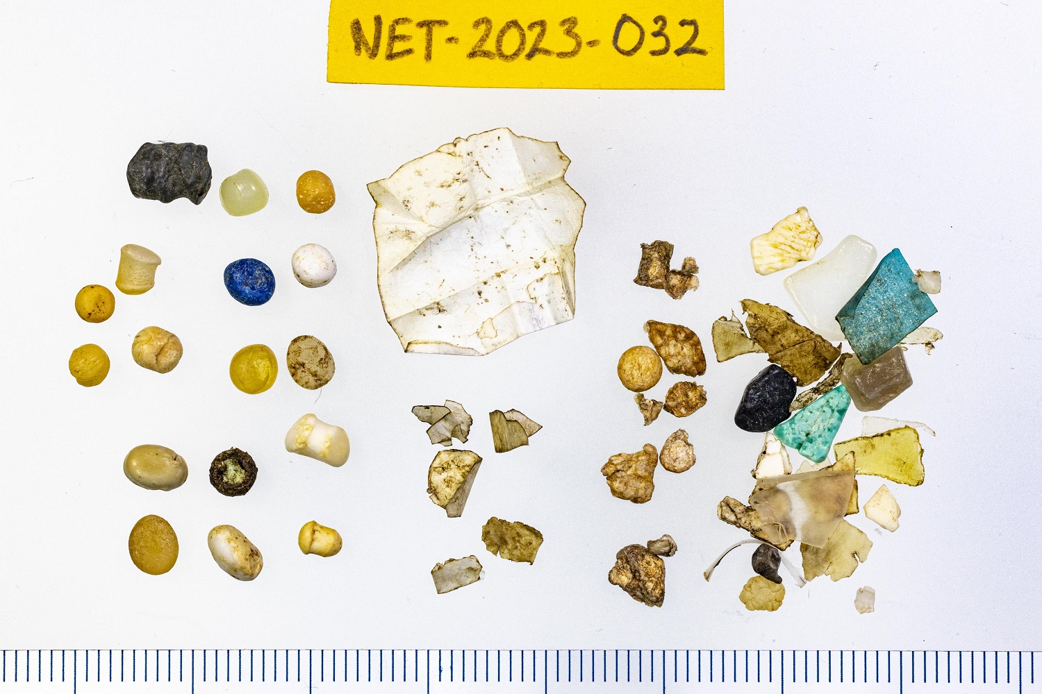 Plastic of stormbirdstomach