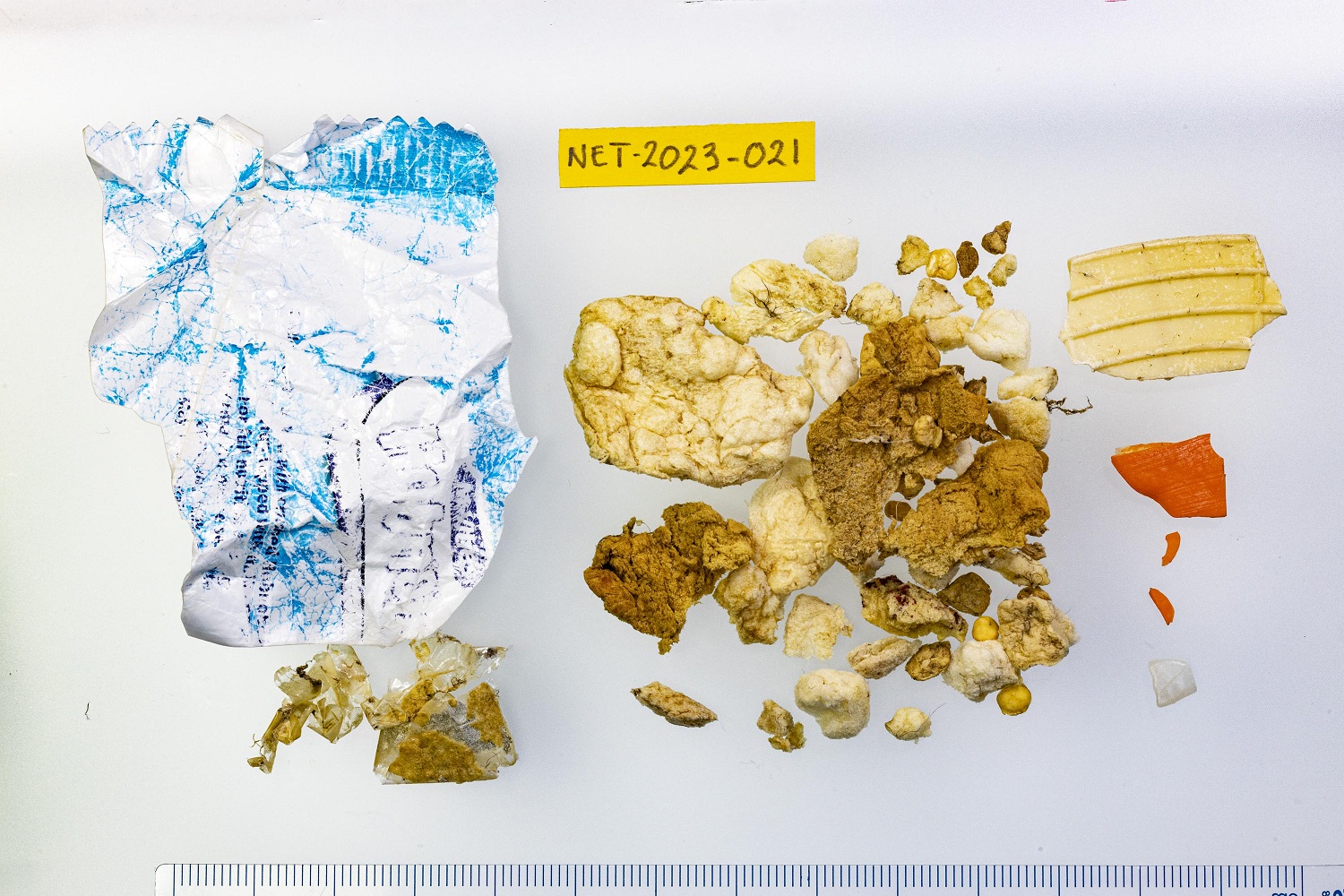 Plastic of stormbirdstomach