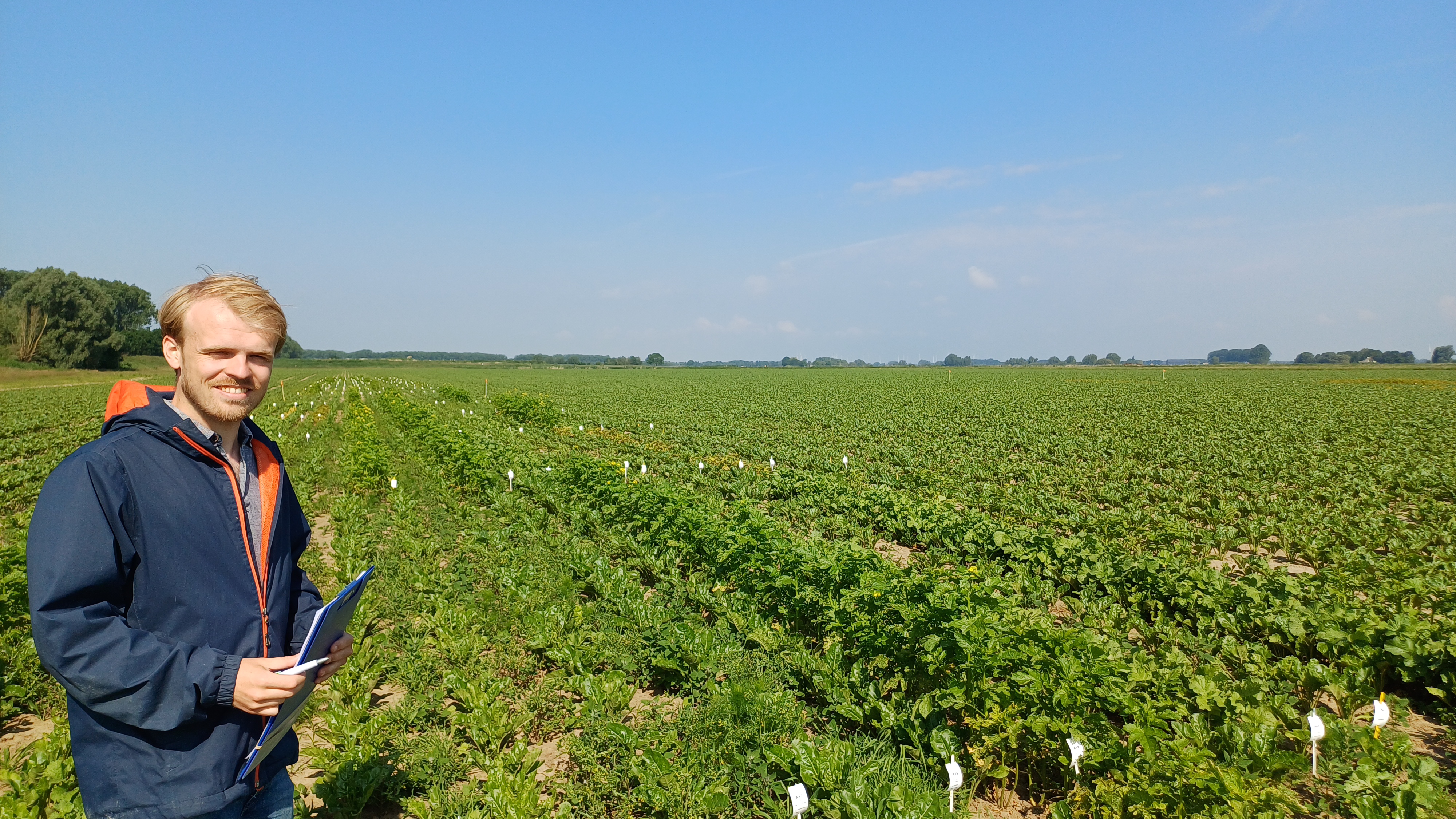 man bij groen veld en blauwe lucht