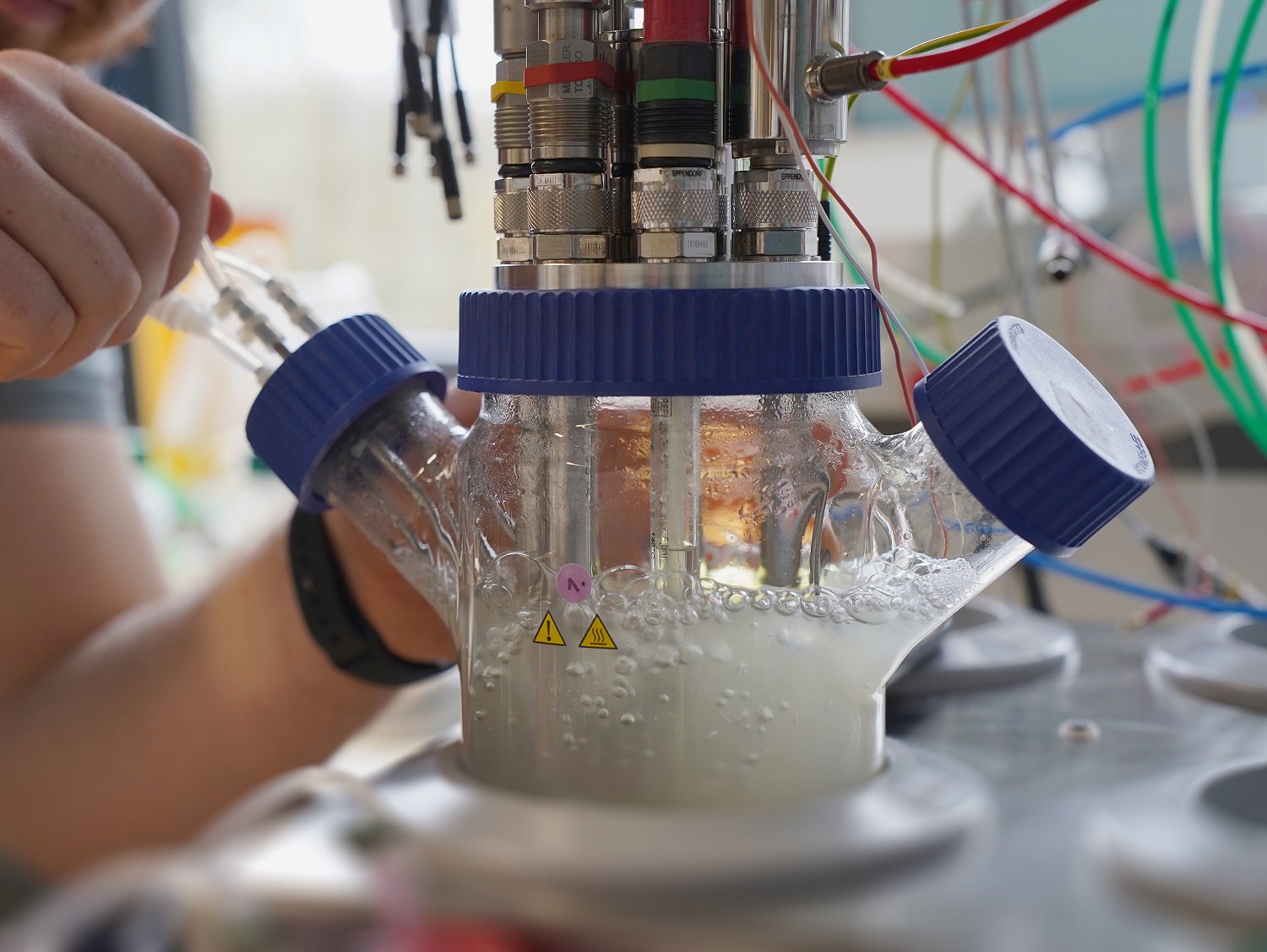 Mini-factory bacteria