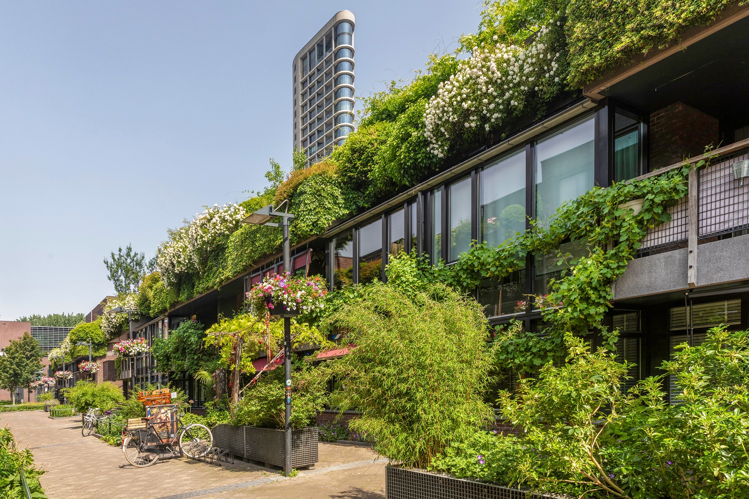 Groene gebouwen