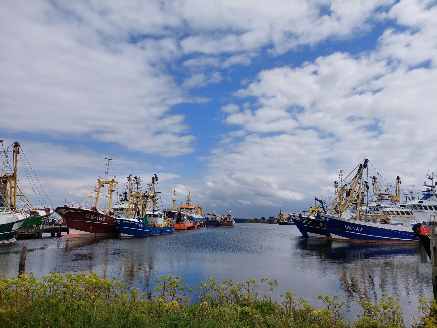 Boten in de haven