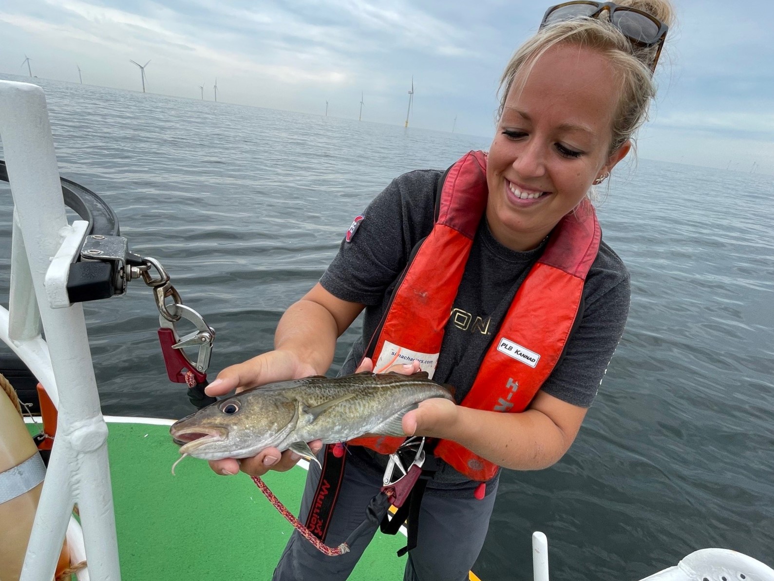 Kabeljauw gevangen op zee