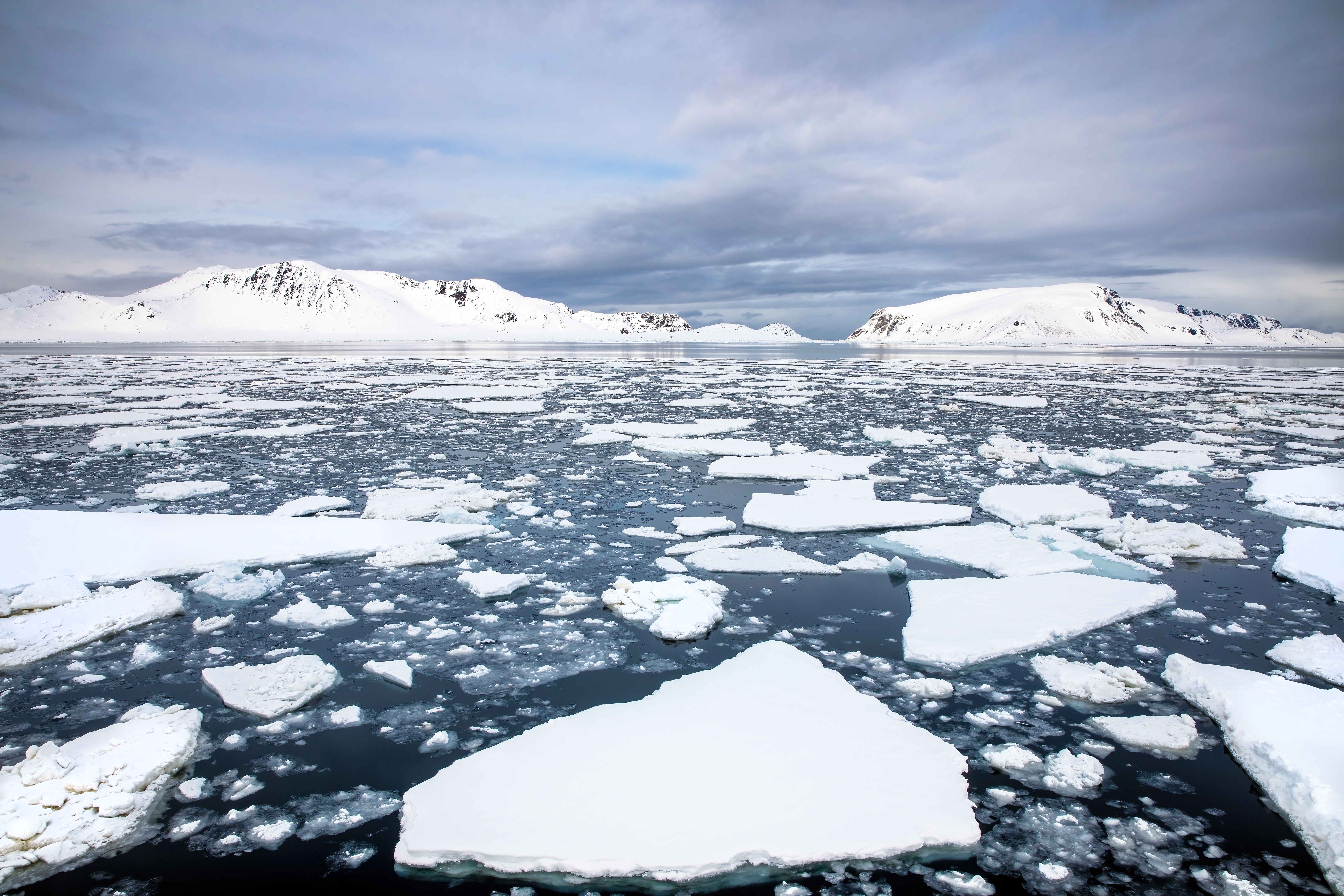 Northpole Iceplates
