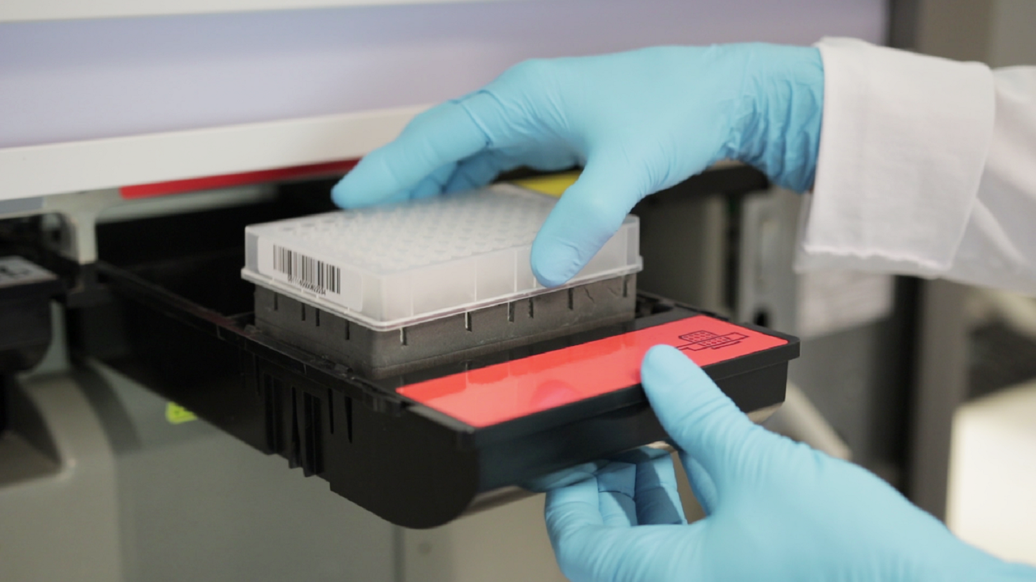 Test in a laboratory