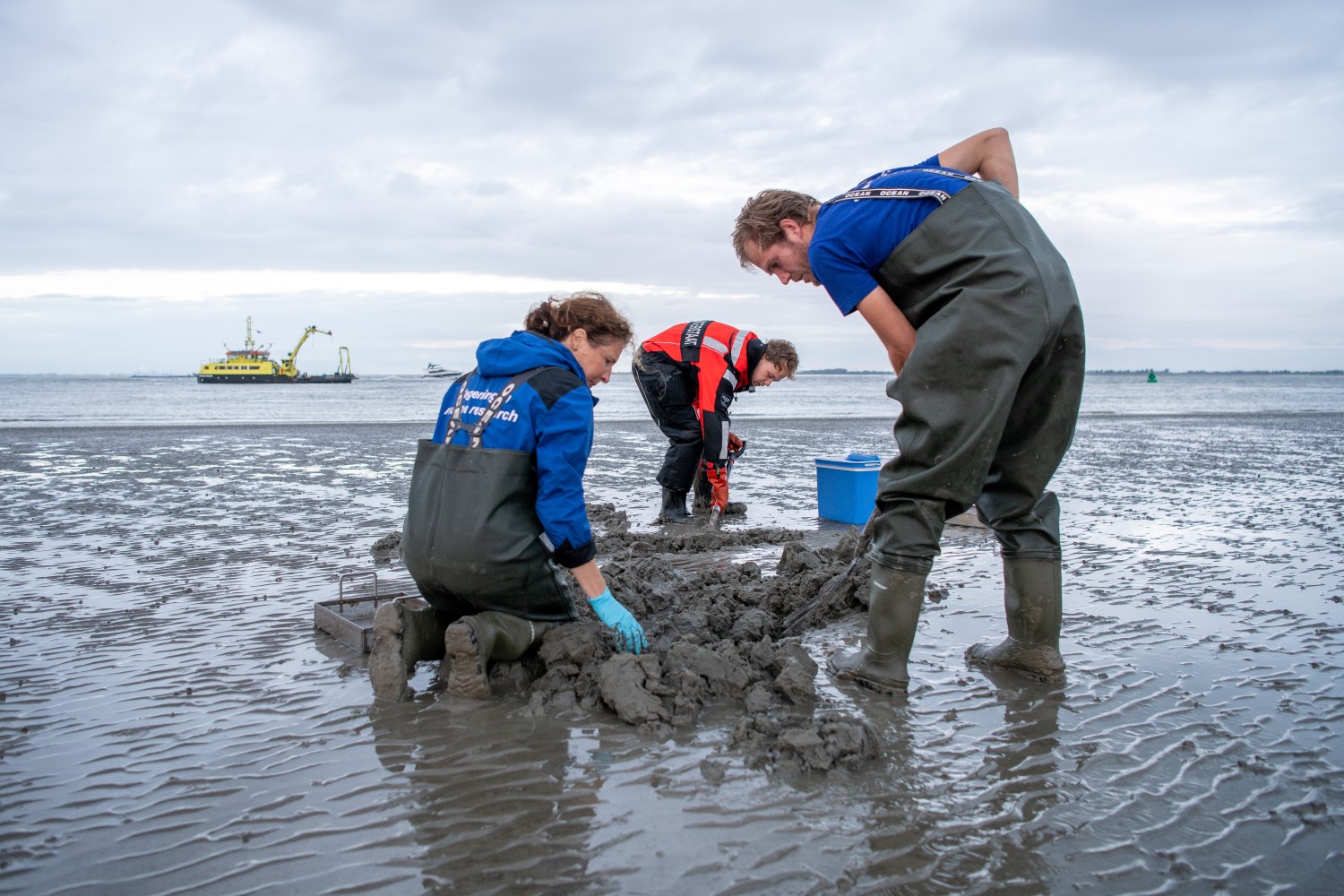 PFAS getest in wad