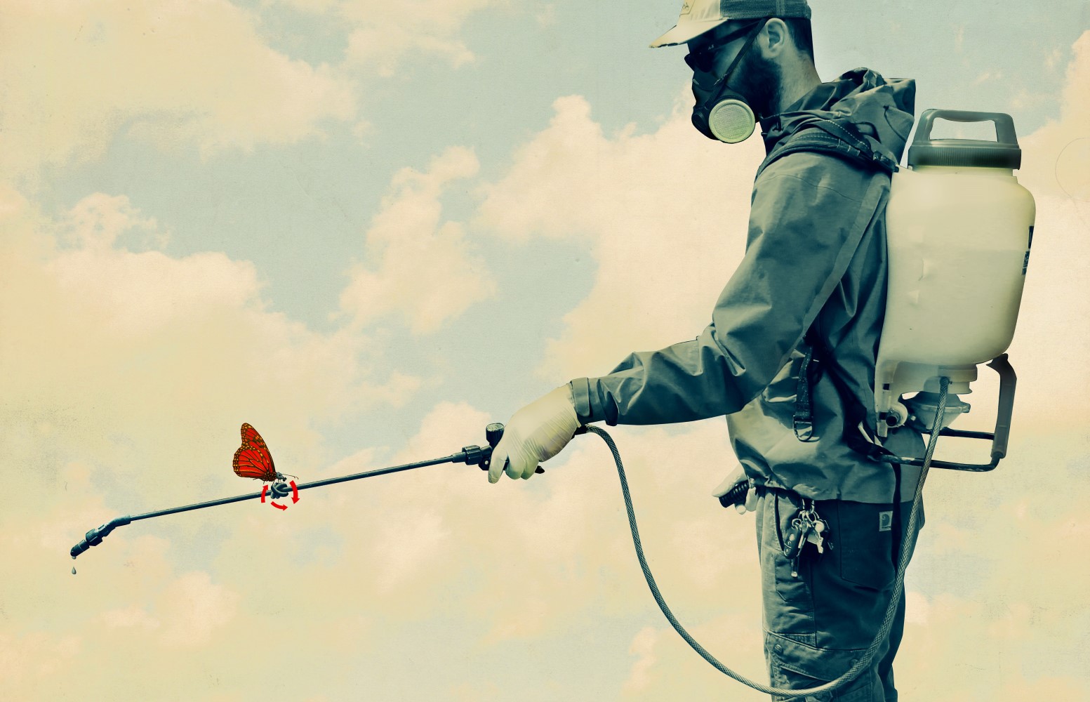 Illustration of pesticides with butterfly