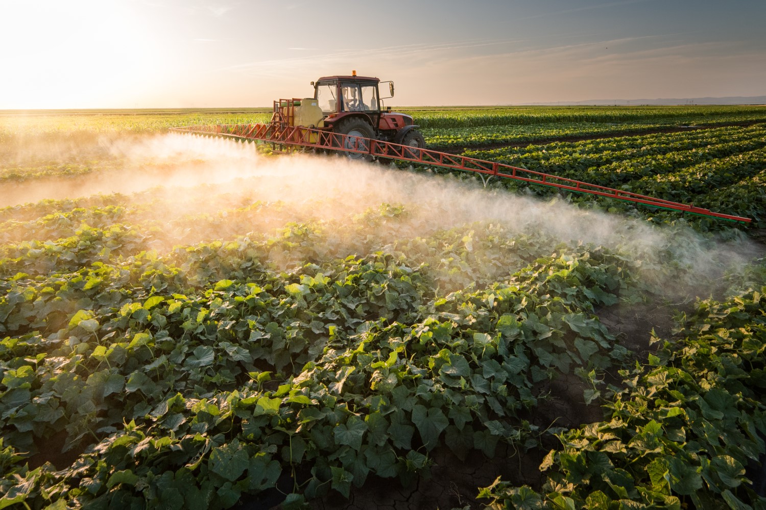 Crops being watered