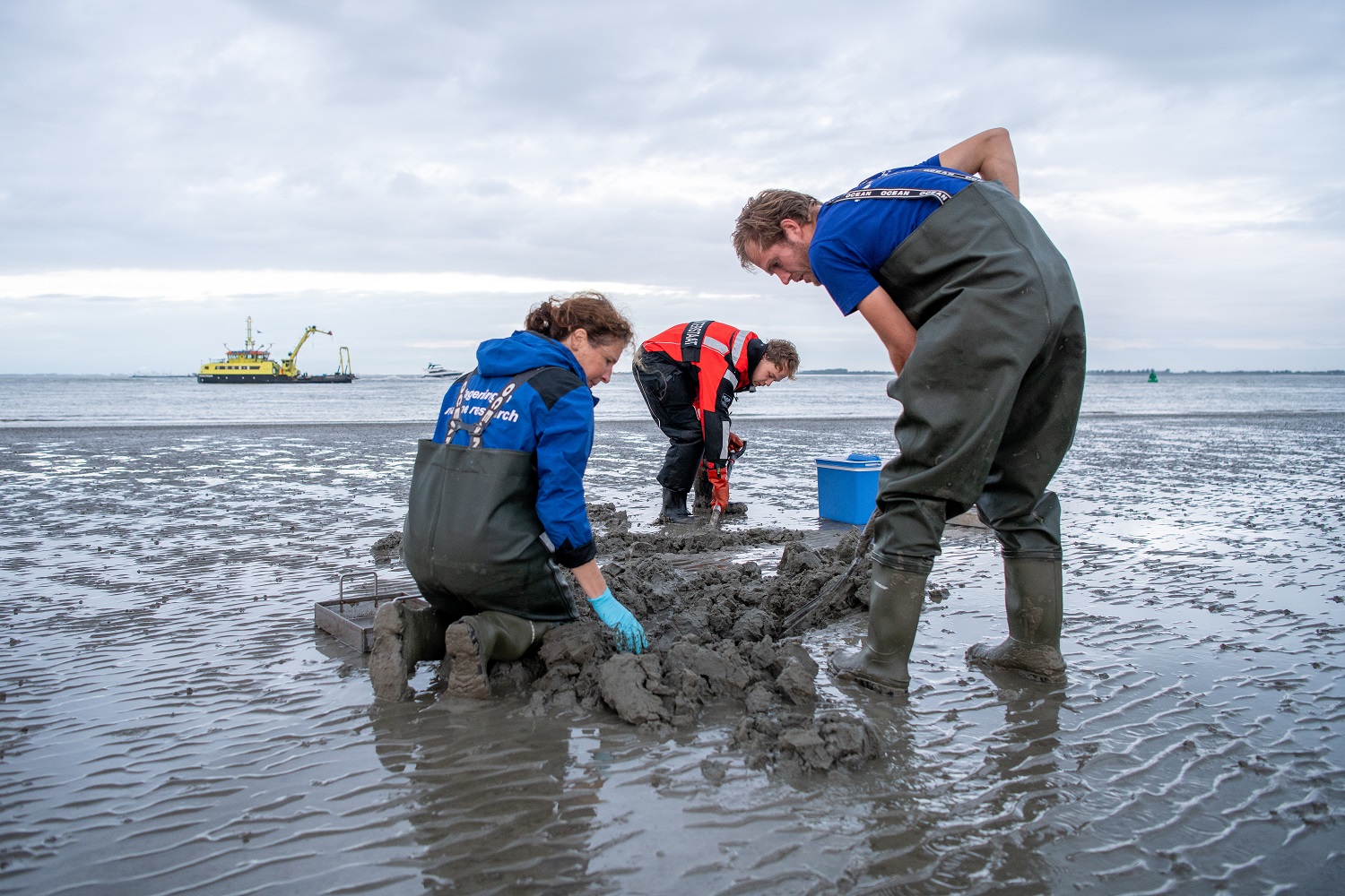 Westerschelde PFAS
