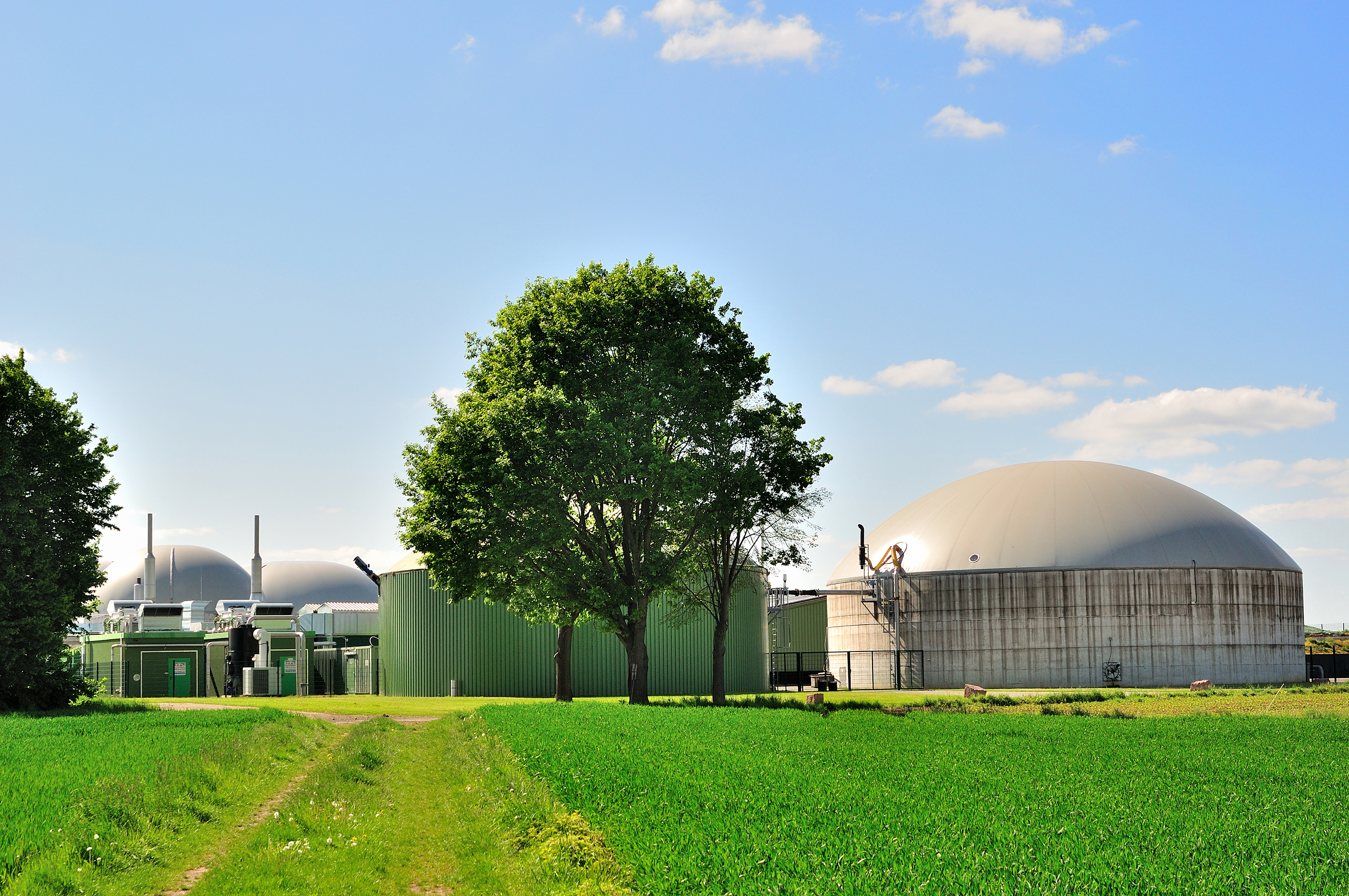 Silos in een veld