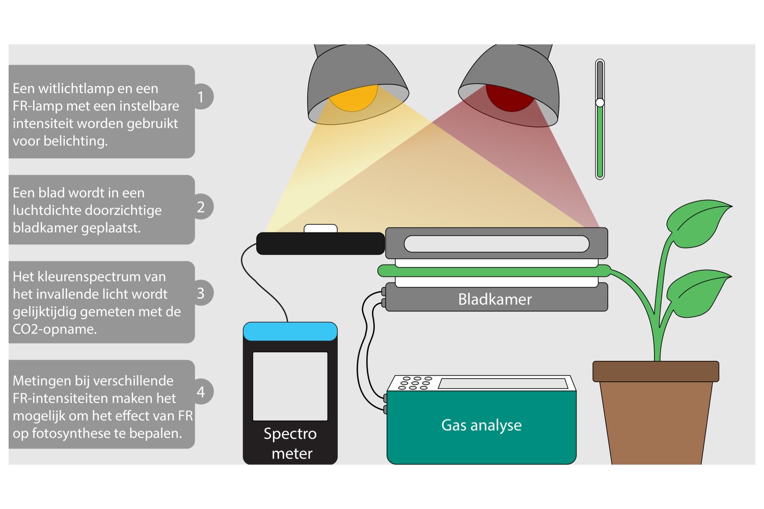 Infographic over bladkamer