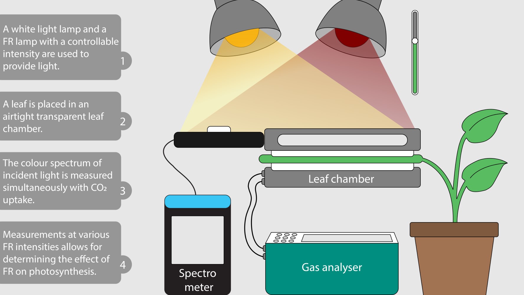 Experimental setup infographic
