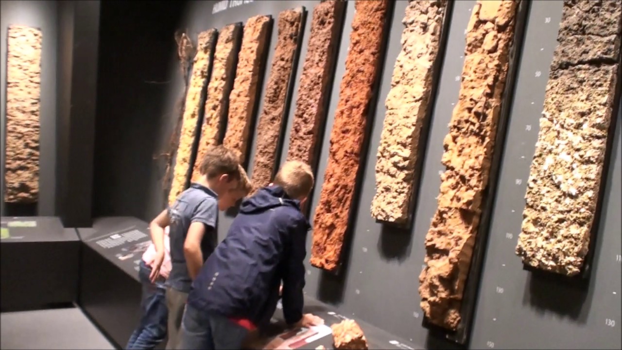 2017 06 09 Excursie groep 5 Brinkschool naar campus